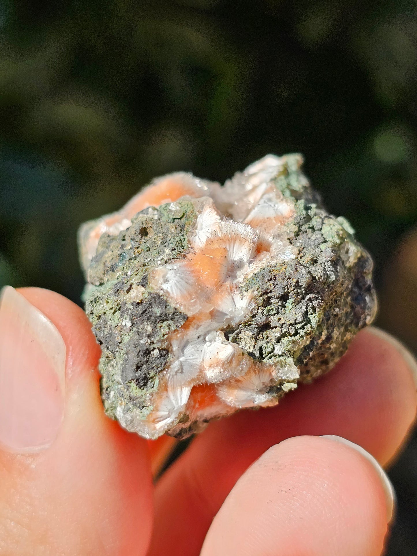 Thomsonite et Mésolite n°10