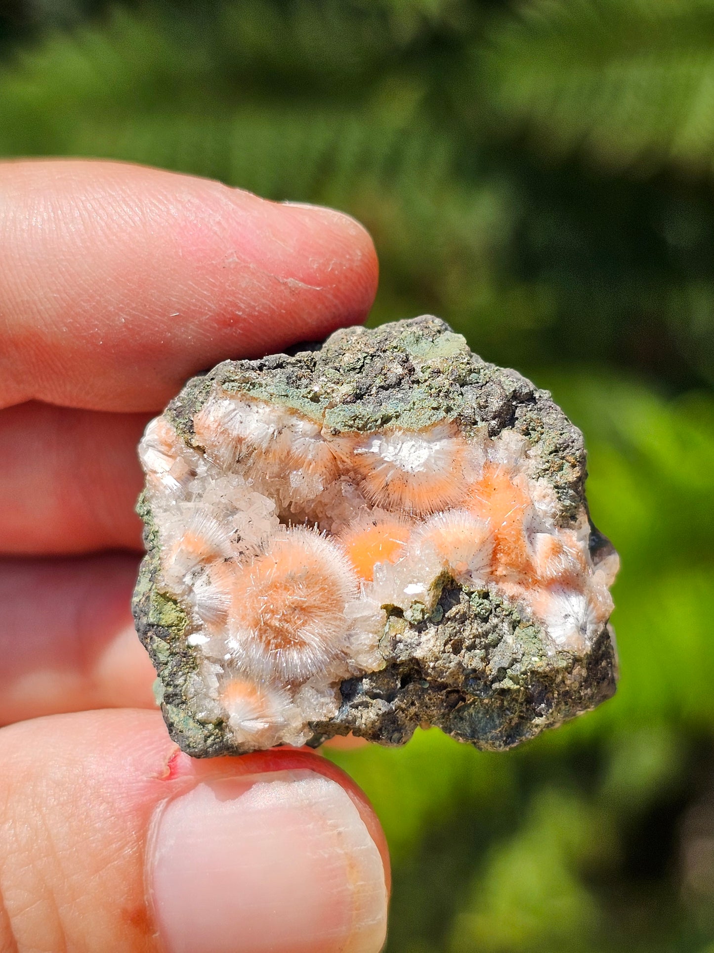 Thomsonite et Mésolite n°10