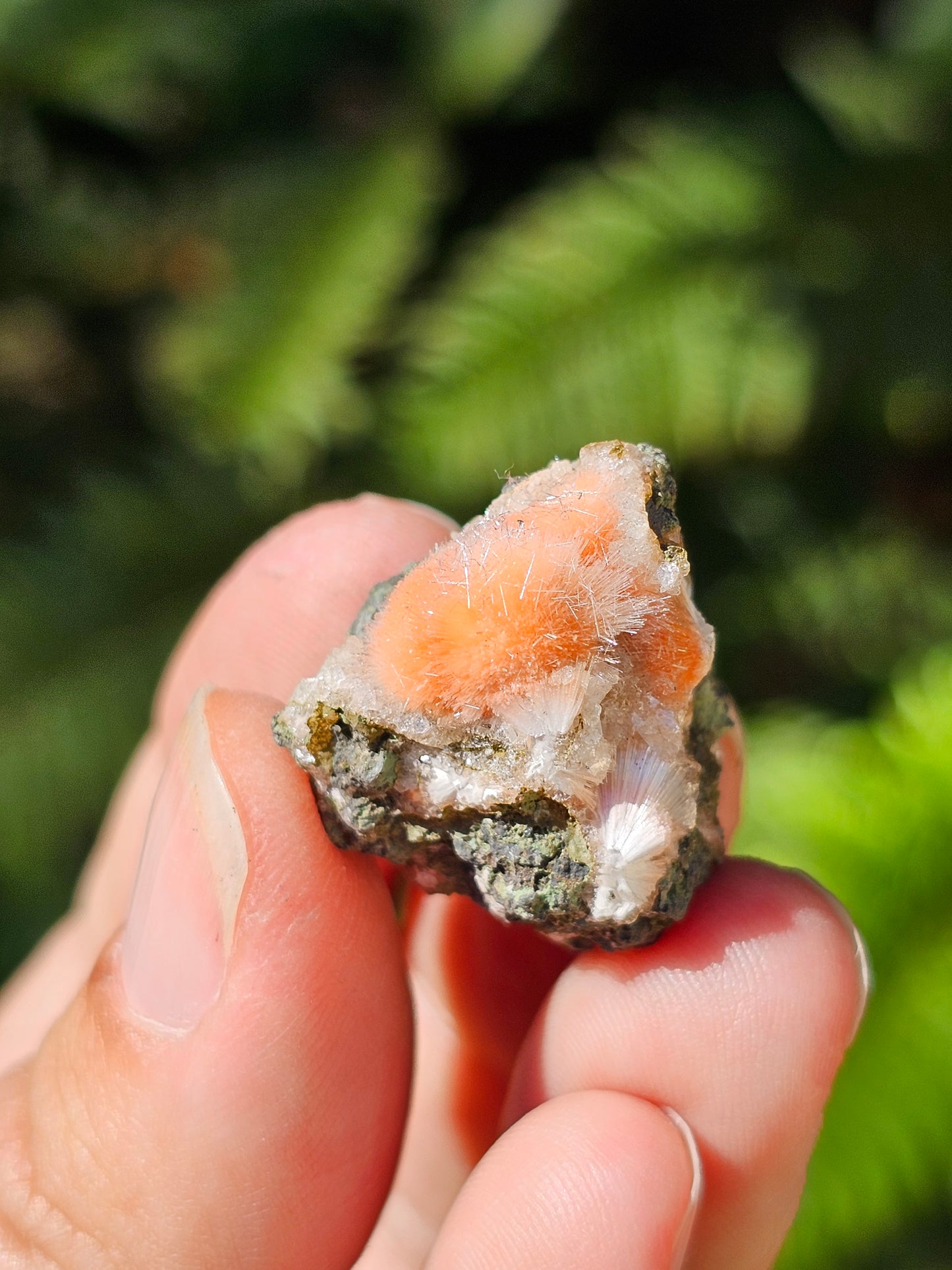Thomsonite et Mésolite n°24