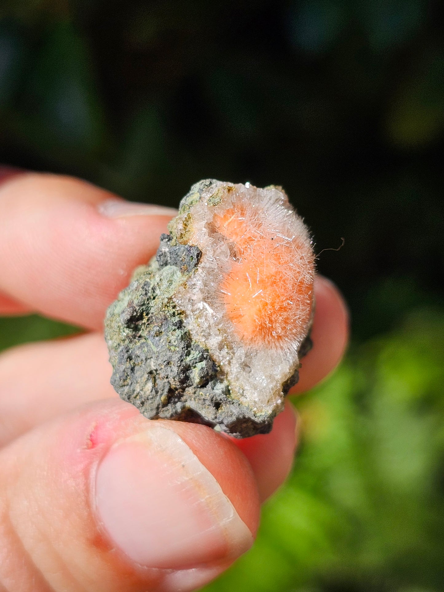 Thomsonite et Mésolite n°24