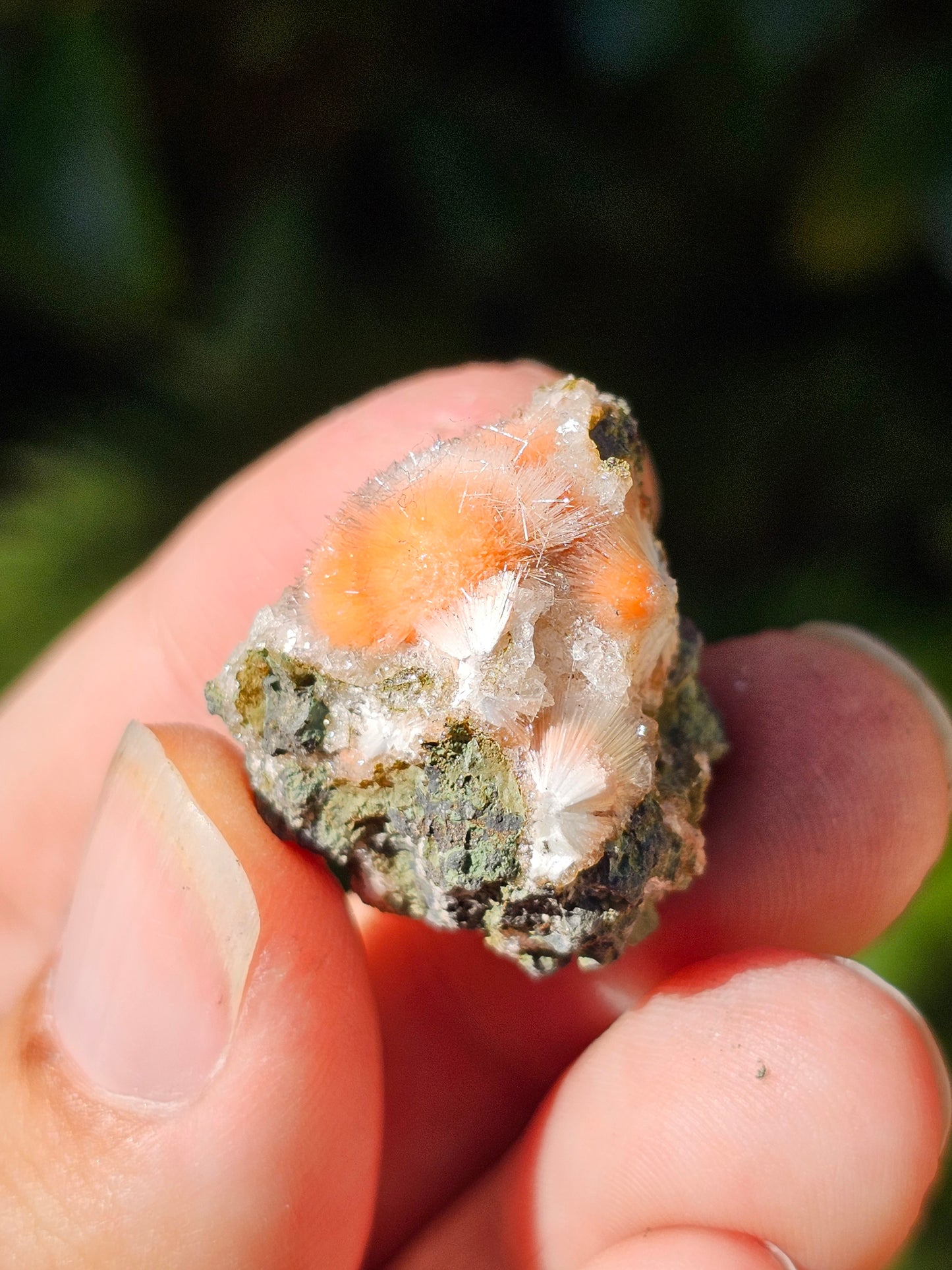 Thomsonite et Mésolite n°24