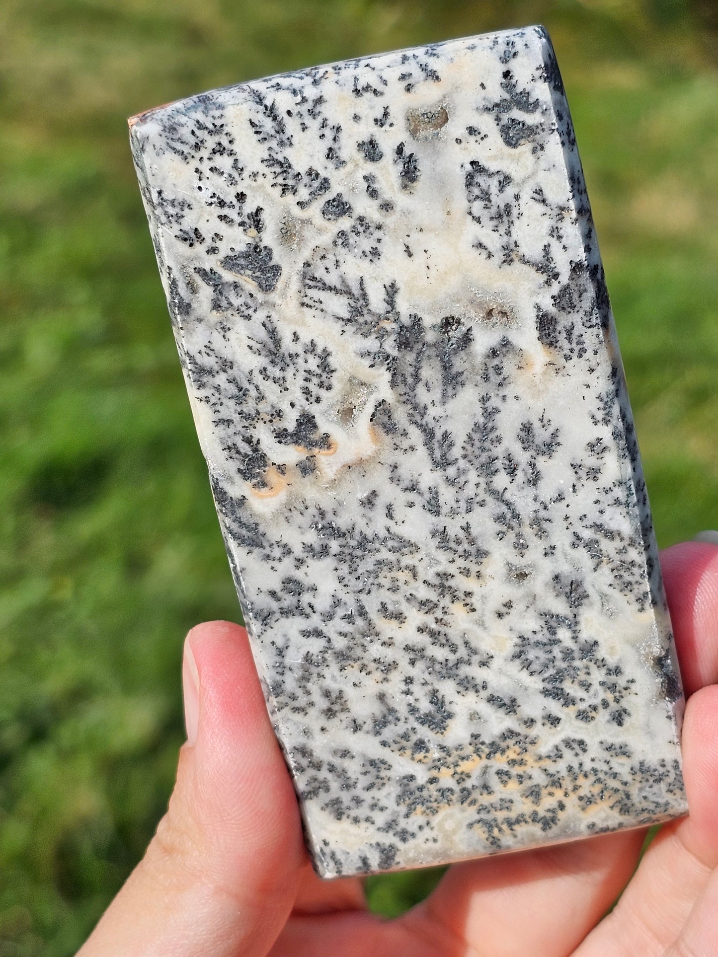 Jaspe et dendrites de manganèse n°5