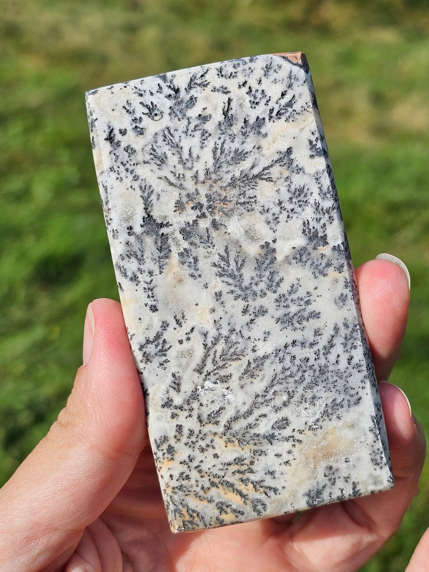 Jaspe et dendrites de manganèse n°5