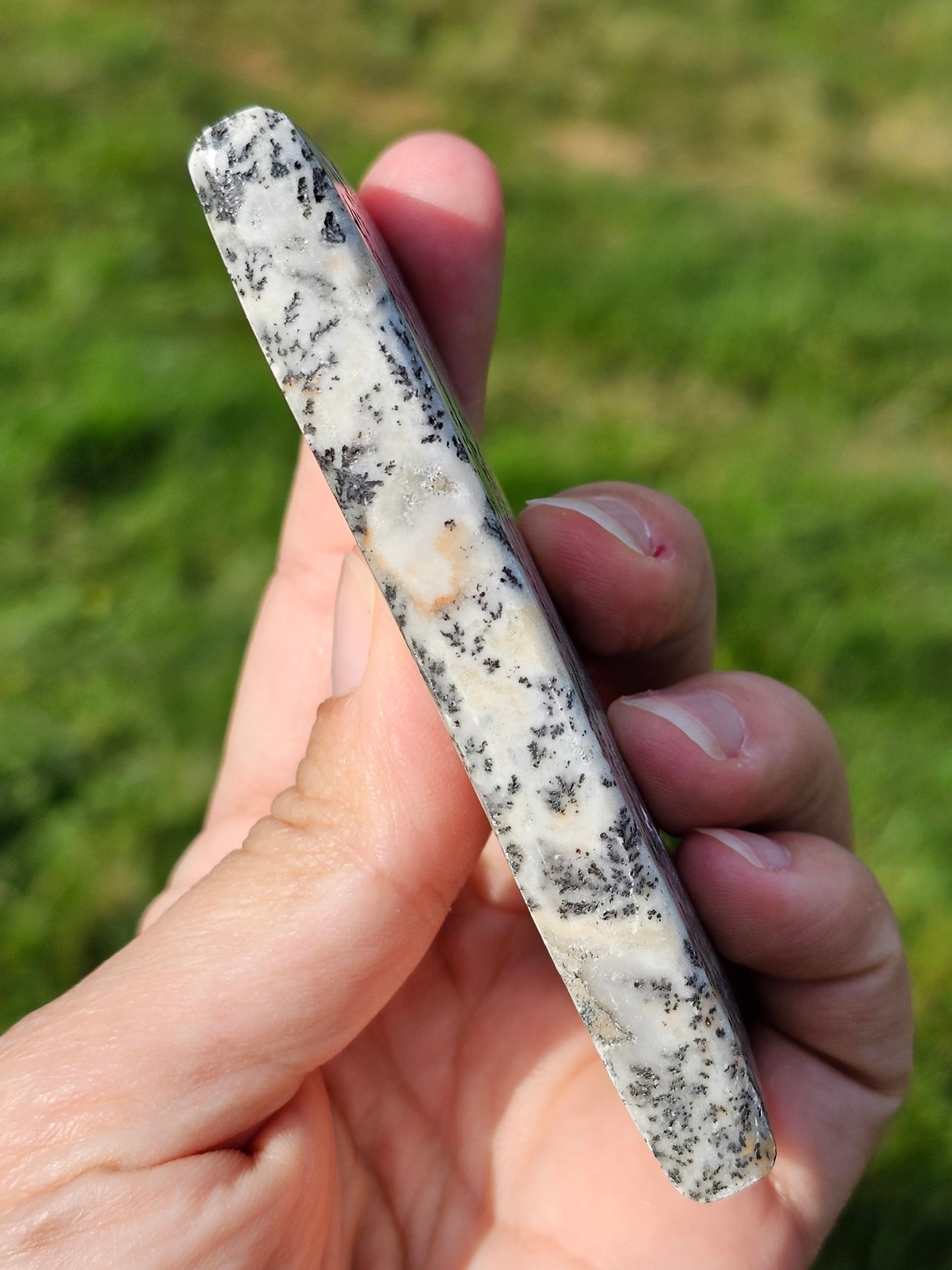 Jaspe et dendrites de manganèse n°5