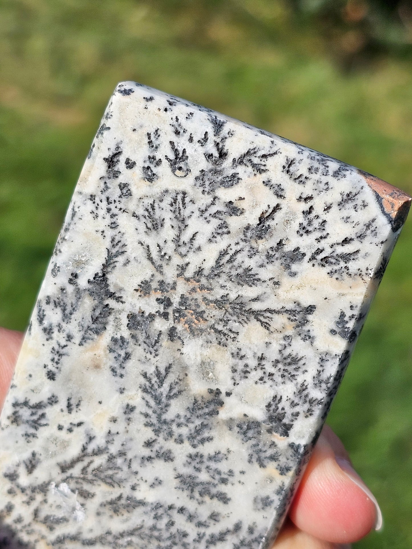 Jaspe et dendrites de manganèse n°5