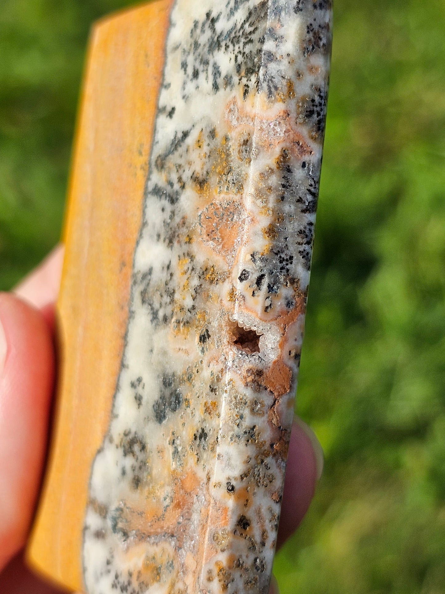 Jaspe et dendrites de manganèse n°6