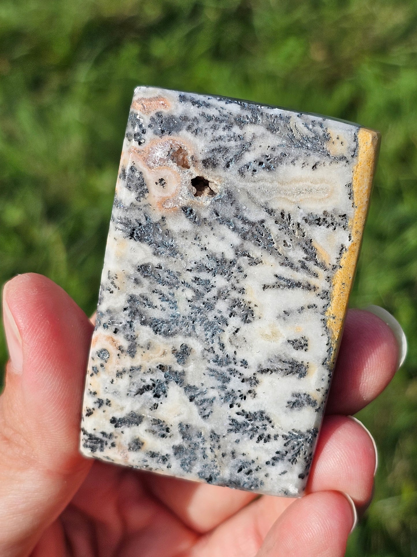 Jaspe et dendrites de manganèse n°1