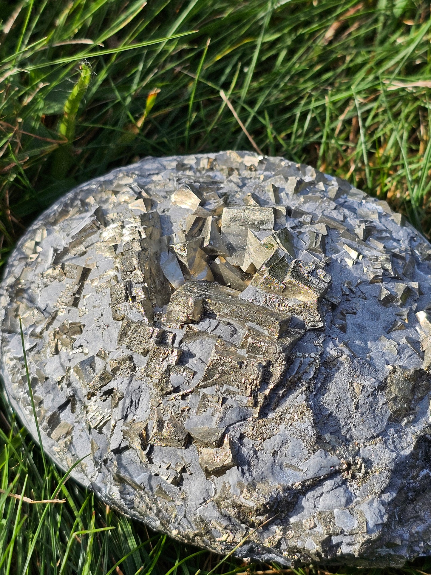 Pyrite brute française