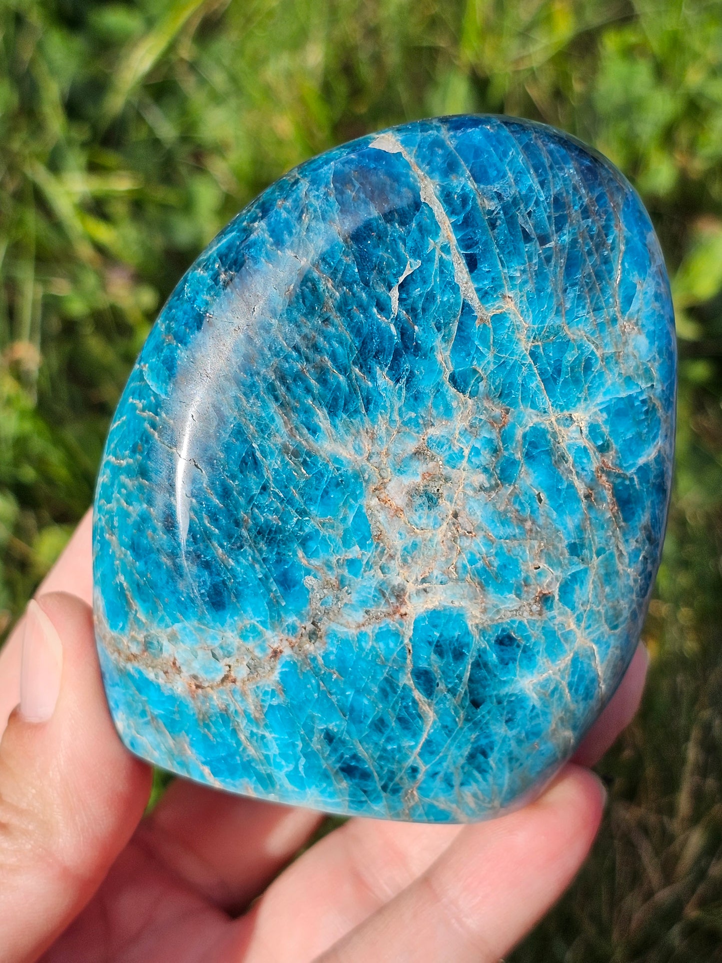 Forme libre Apatite bleue A2