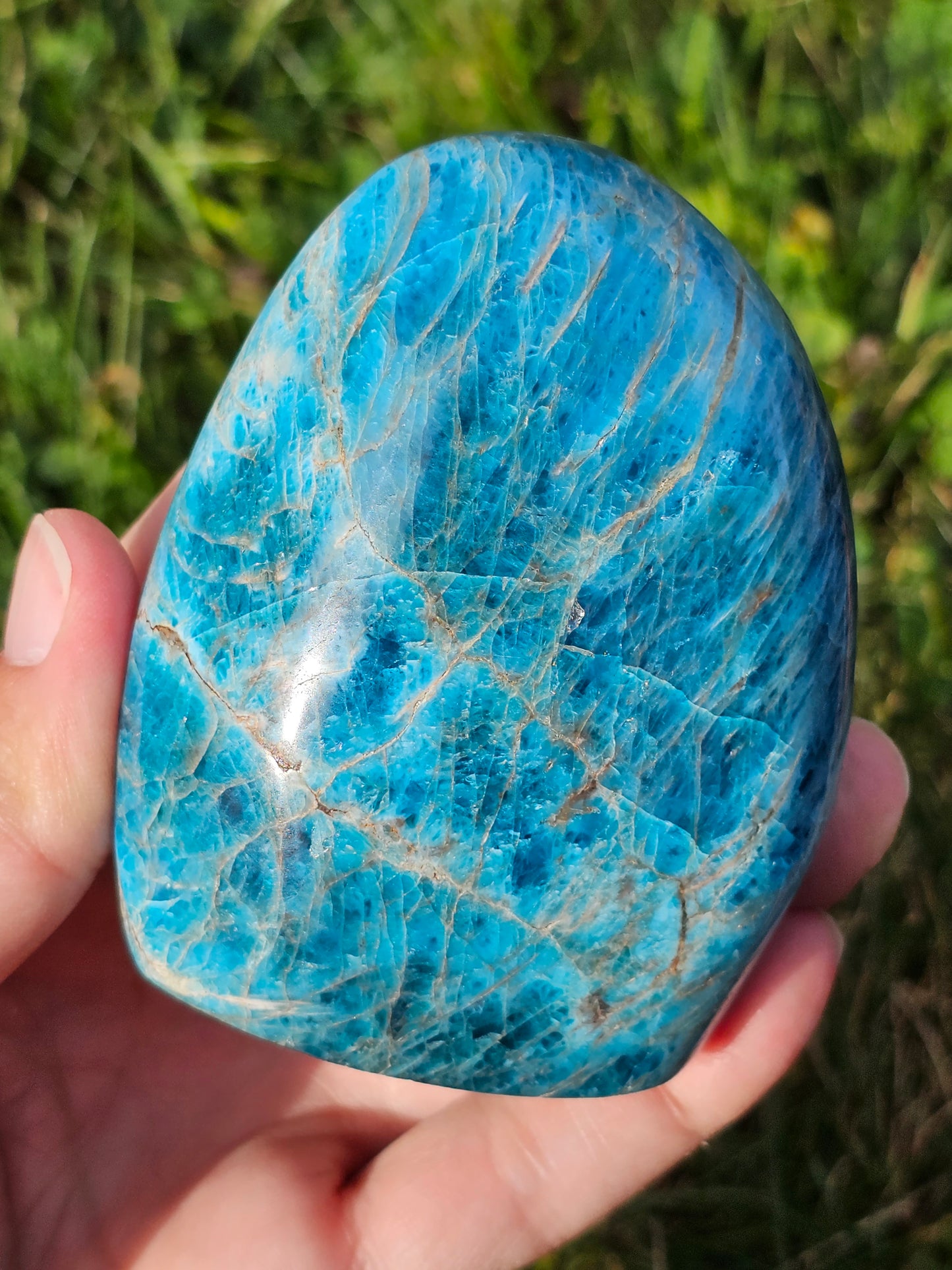 Forme libre Apatite bleue A2