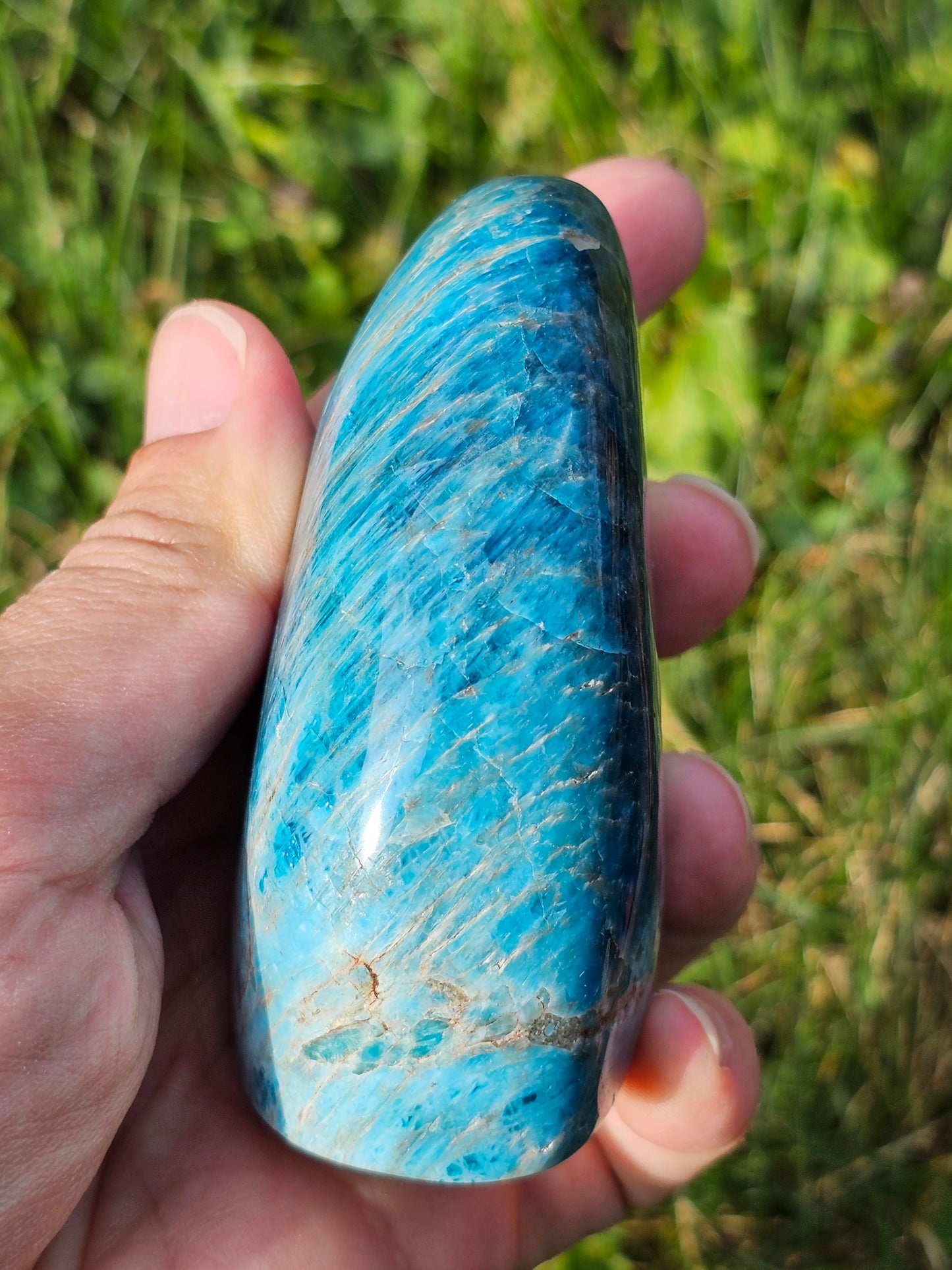 Forme libre Apatite bleue A2
