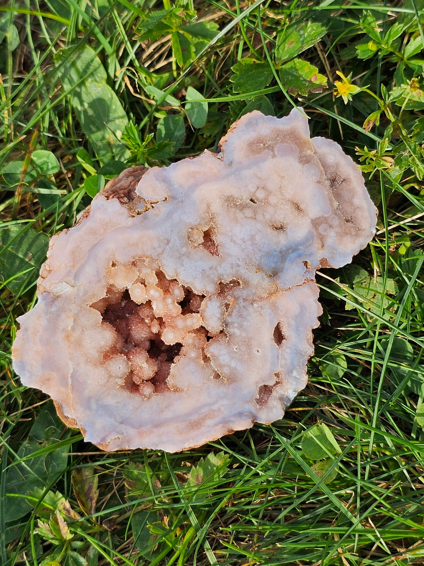 Demi géode Agate fleurs