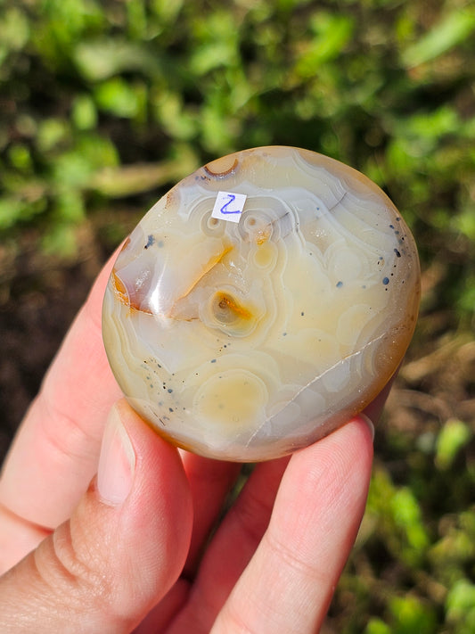 Galet Agate dendritique ( à choisir)