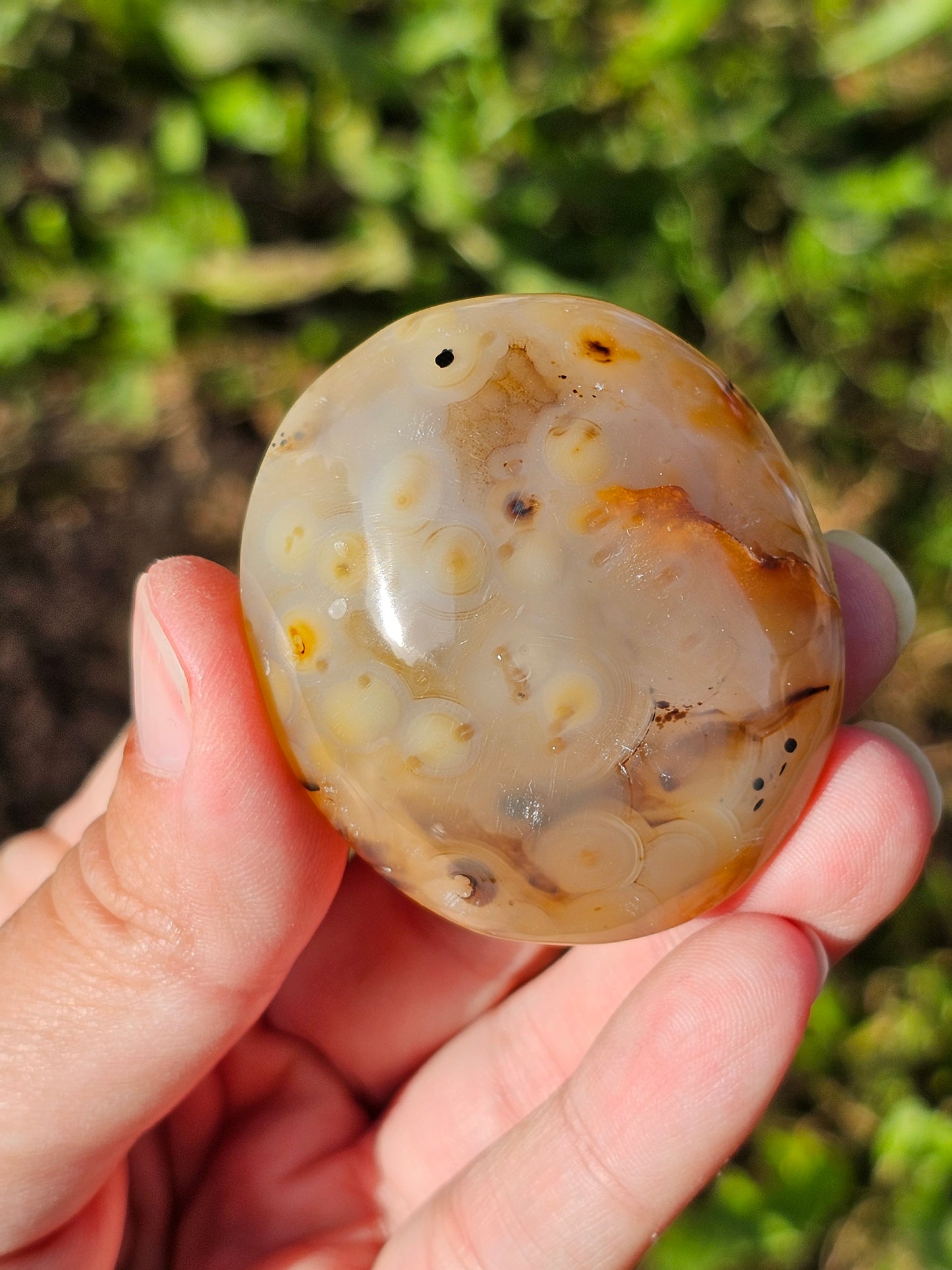Galet Agate dendritique ( à choisir)