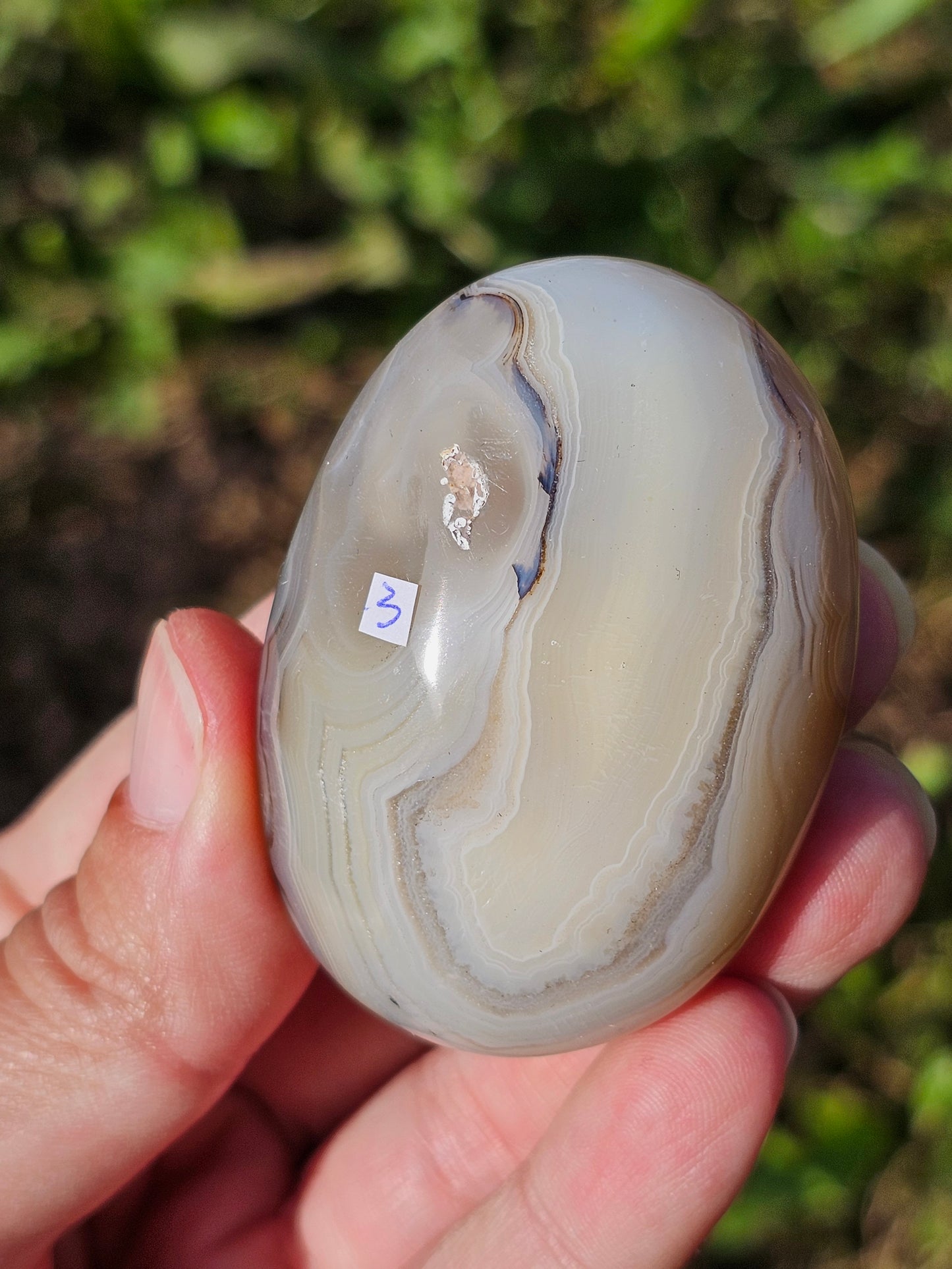 Galet Agate dendritique ( à choisir)
