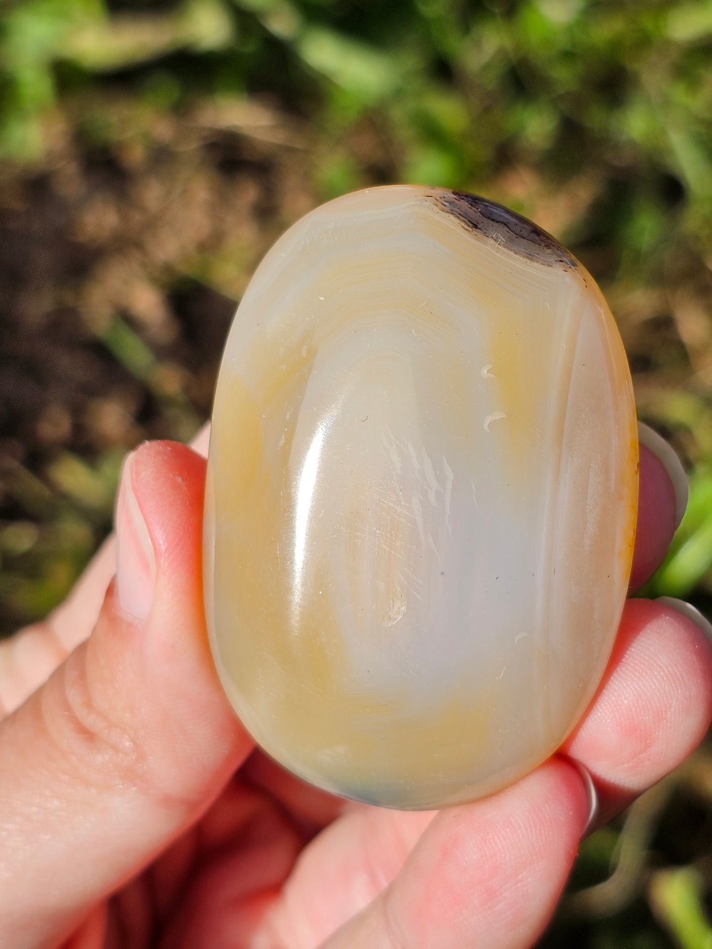 Galet Agate dendritique ( à choisir)