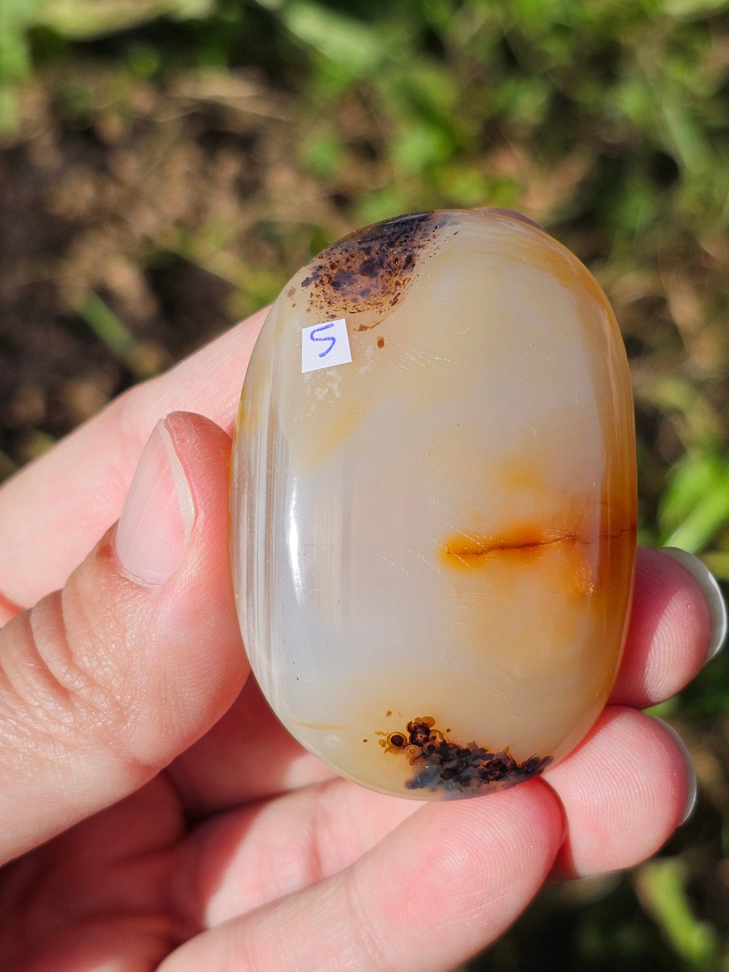 Galet Agate dendritique ( à choisir)