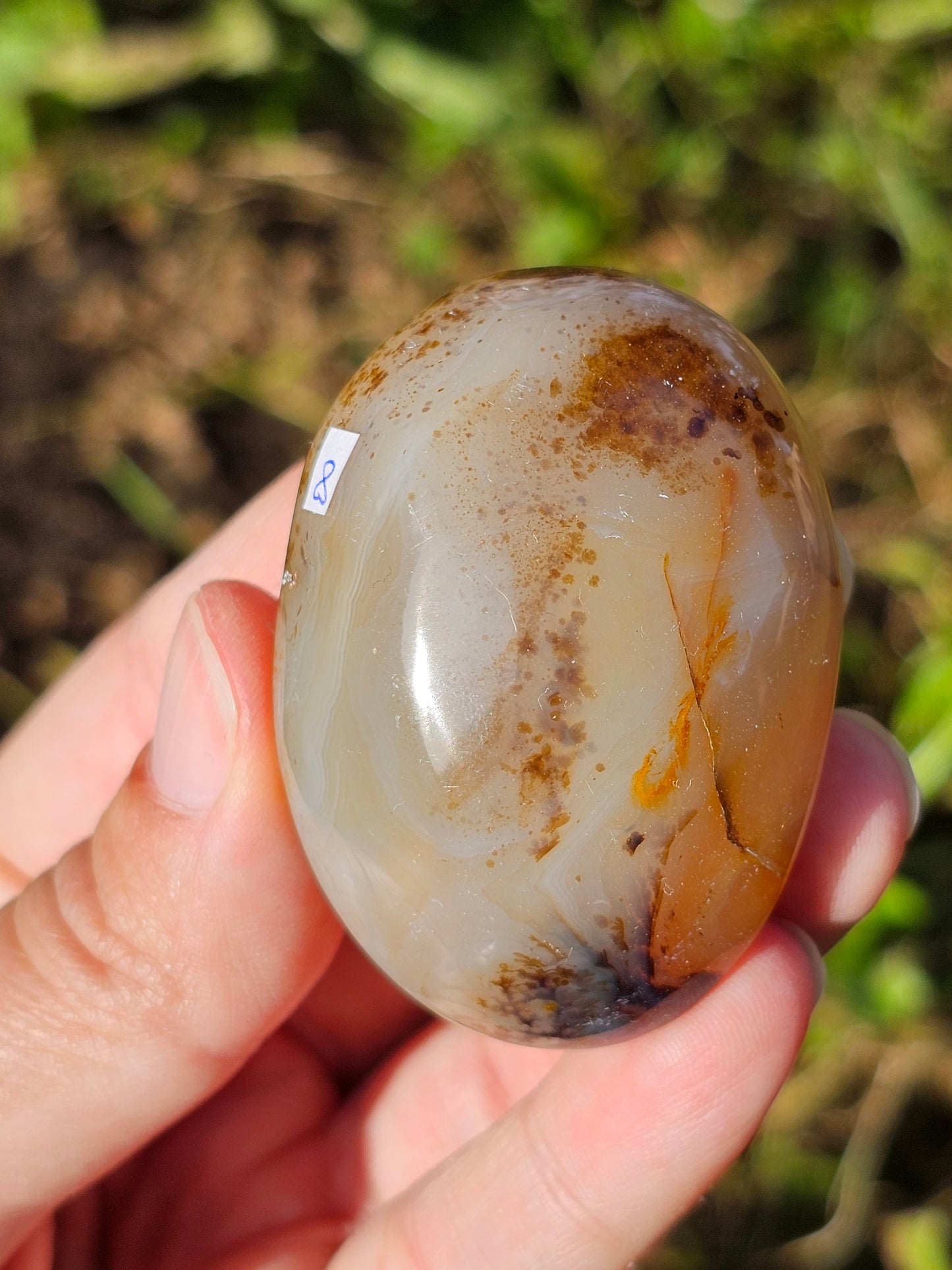 Galet Agate dendritique ( à choisir)