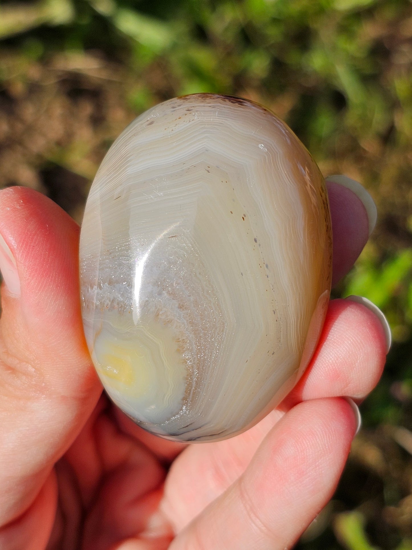 Galet Agate dendritique ( à choisir)