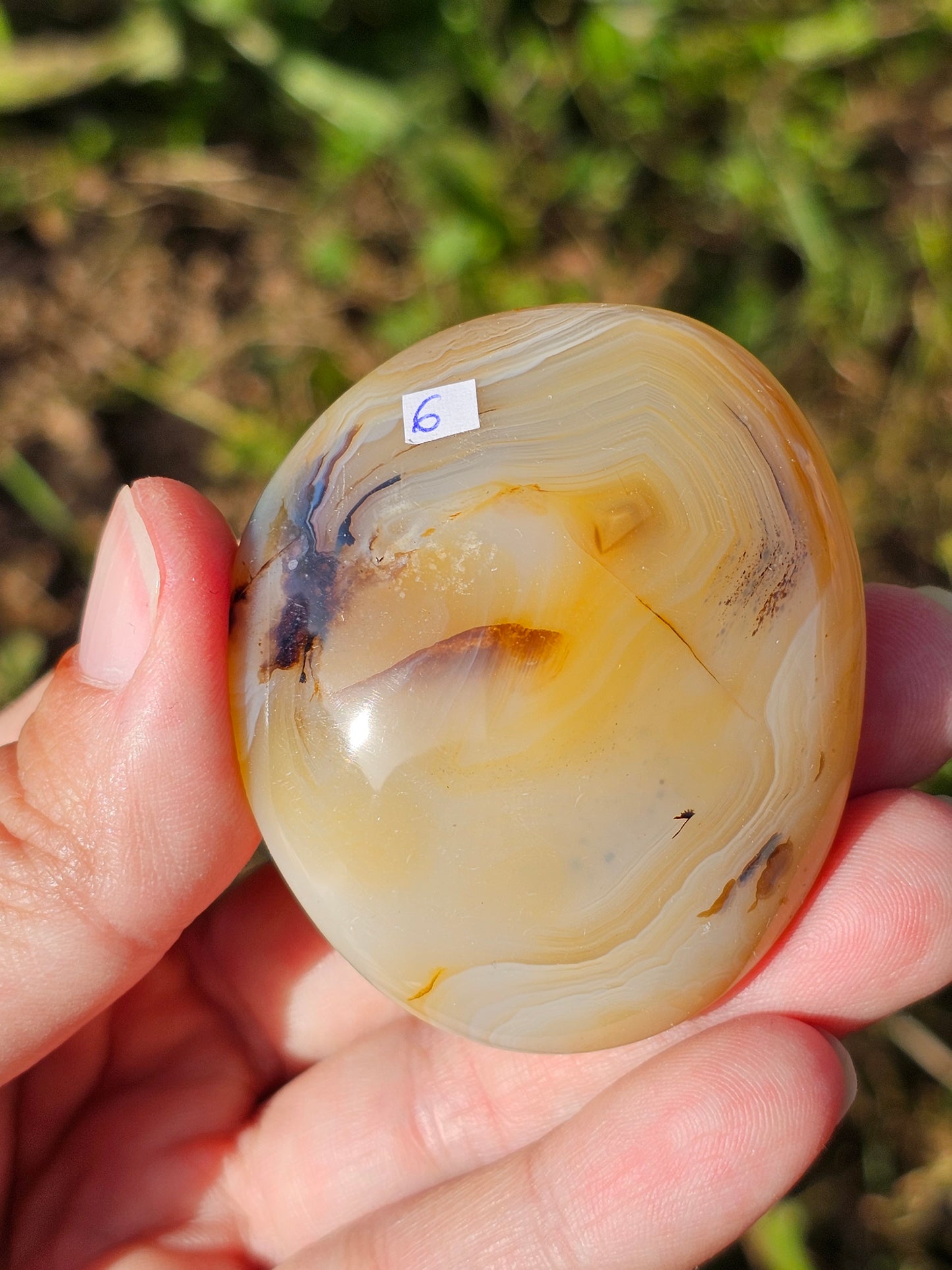 Galet Agate dendritique ( à choisir)