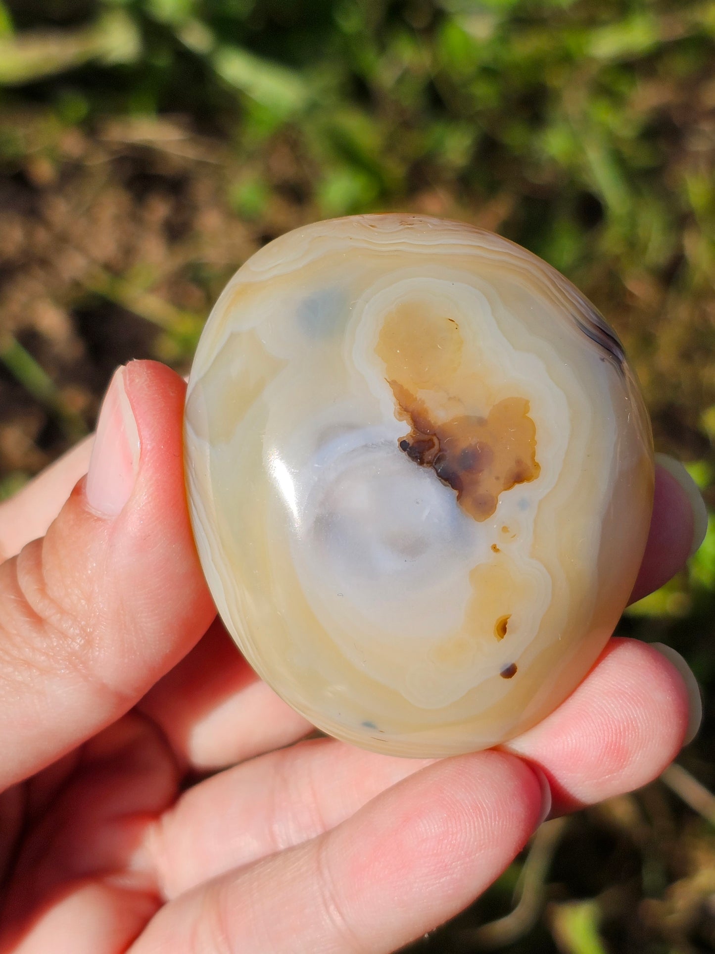 Galet Agate dendritique ( à choisir)