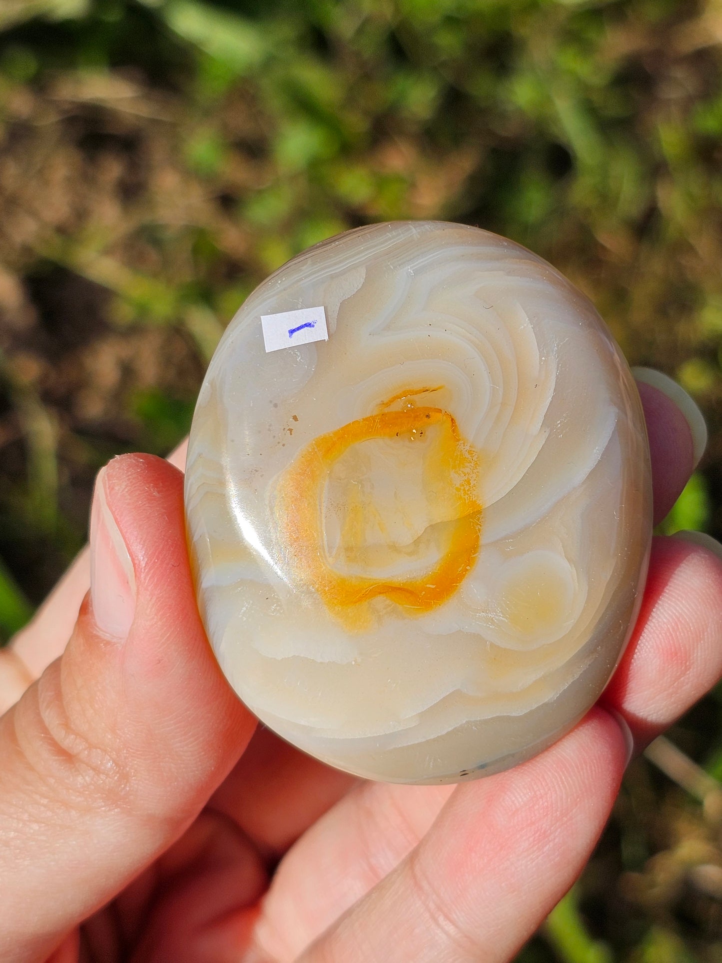 Galet Agate dendritique ( à choisir)