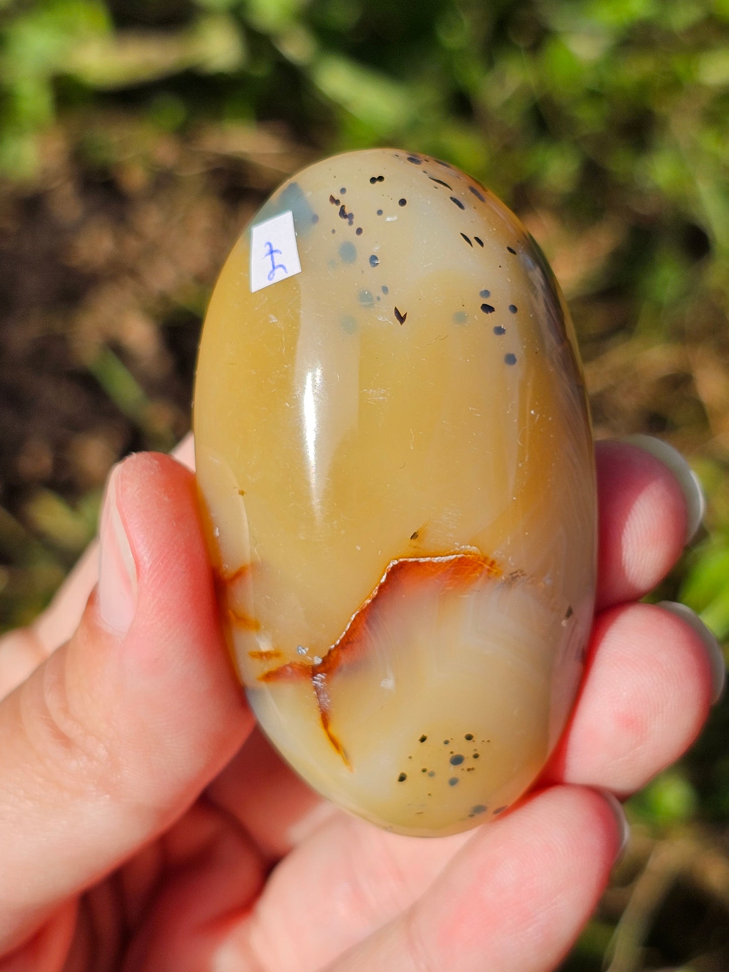 Galet Agate dendritique ( à choisir)