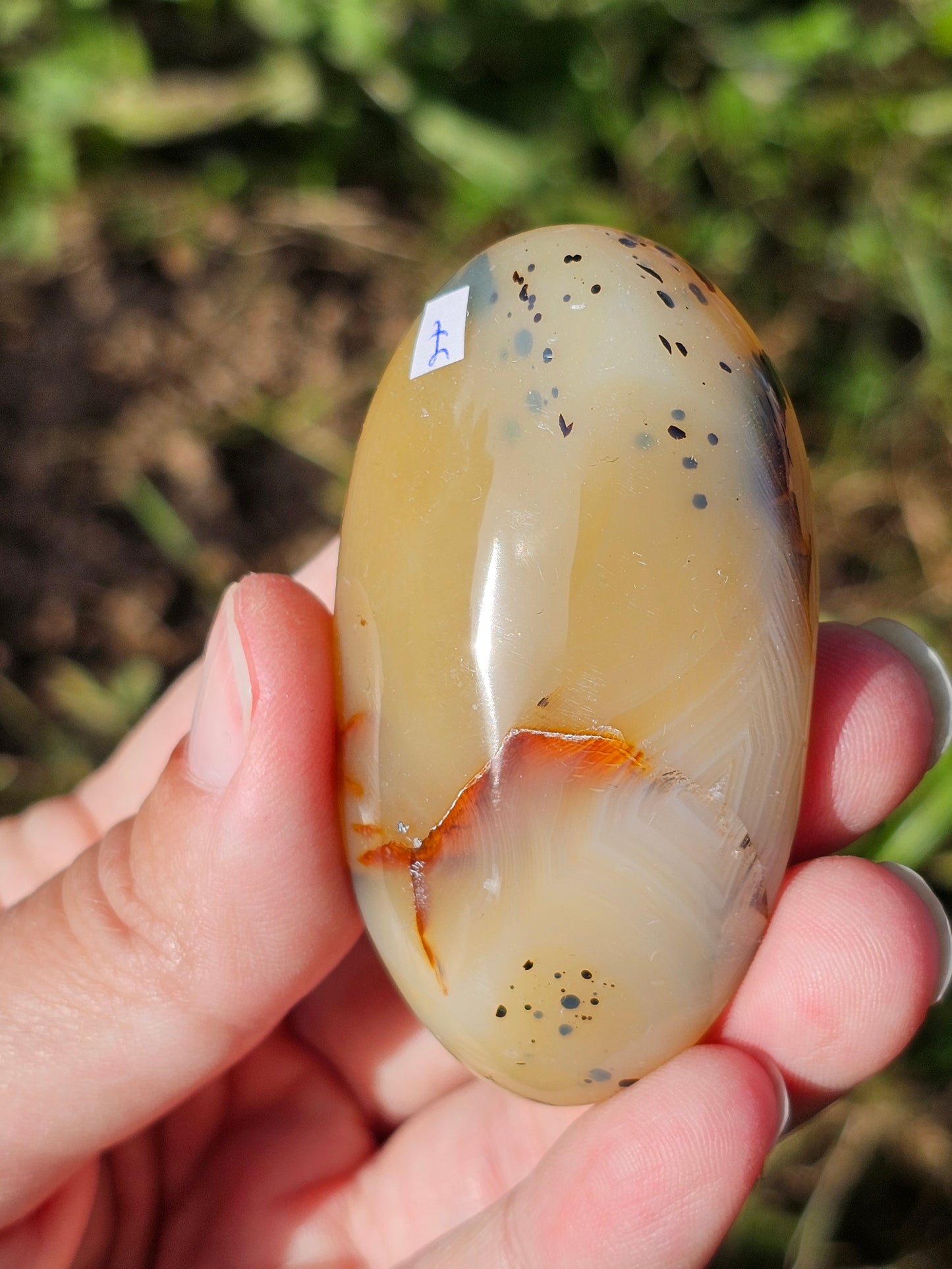 Galet Agate dendritique ( à choisir)