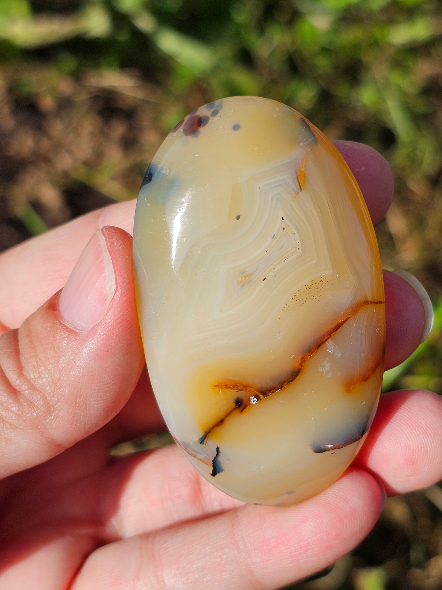 Galet Agate dendritique ( à choisir)