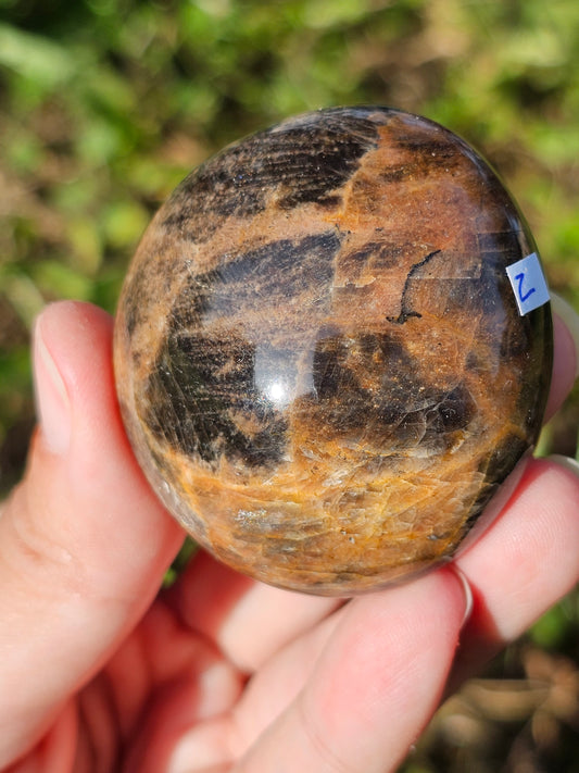 Galet pierre de lune noire (à choisir)