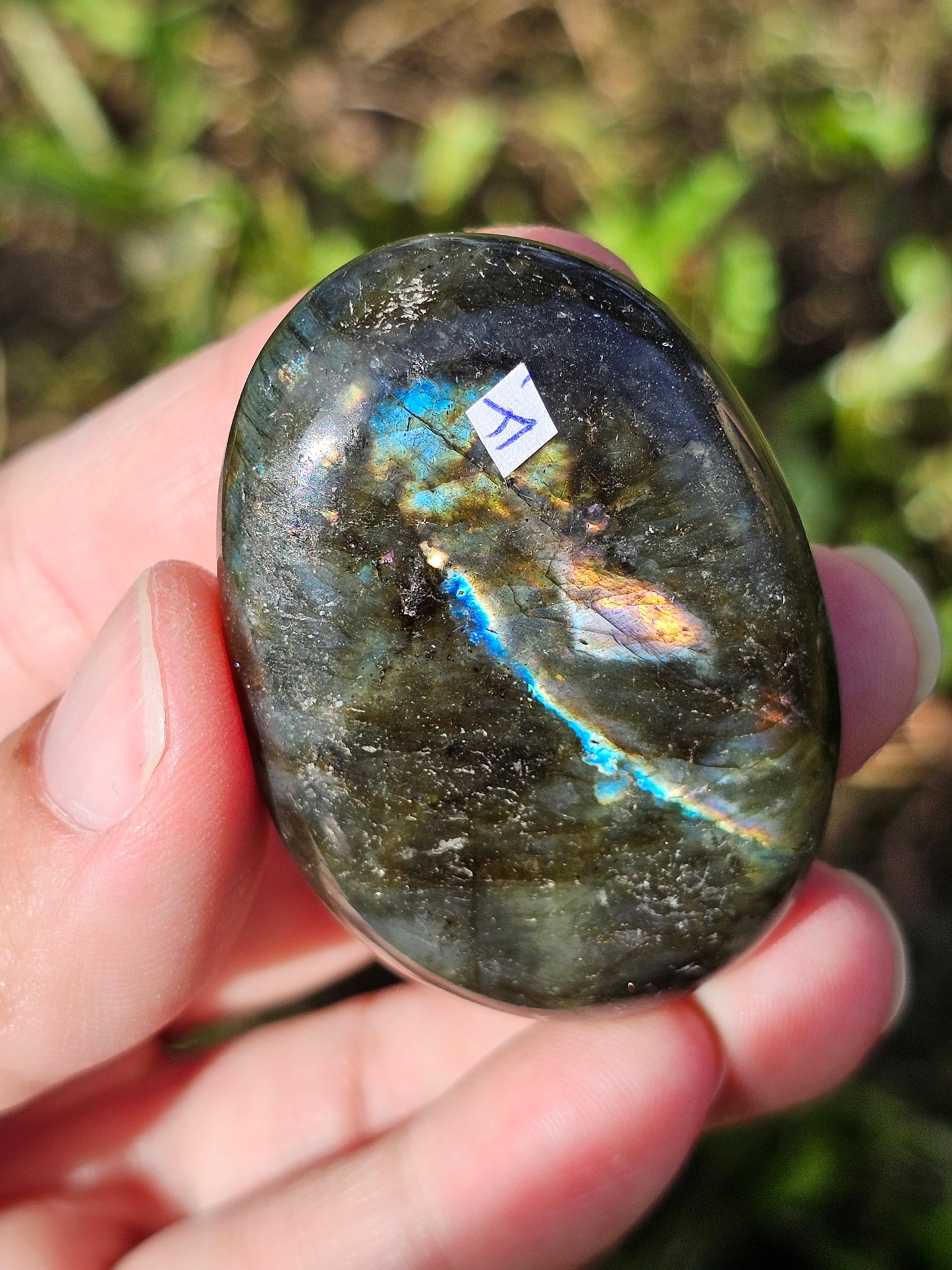 Galet Labradorite noire ( à choisir)