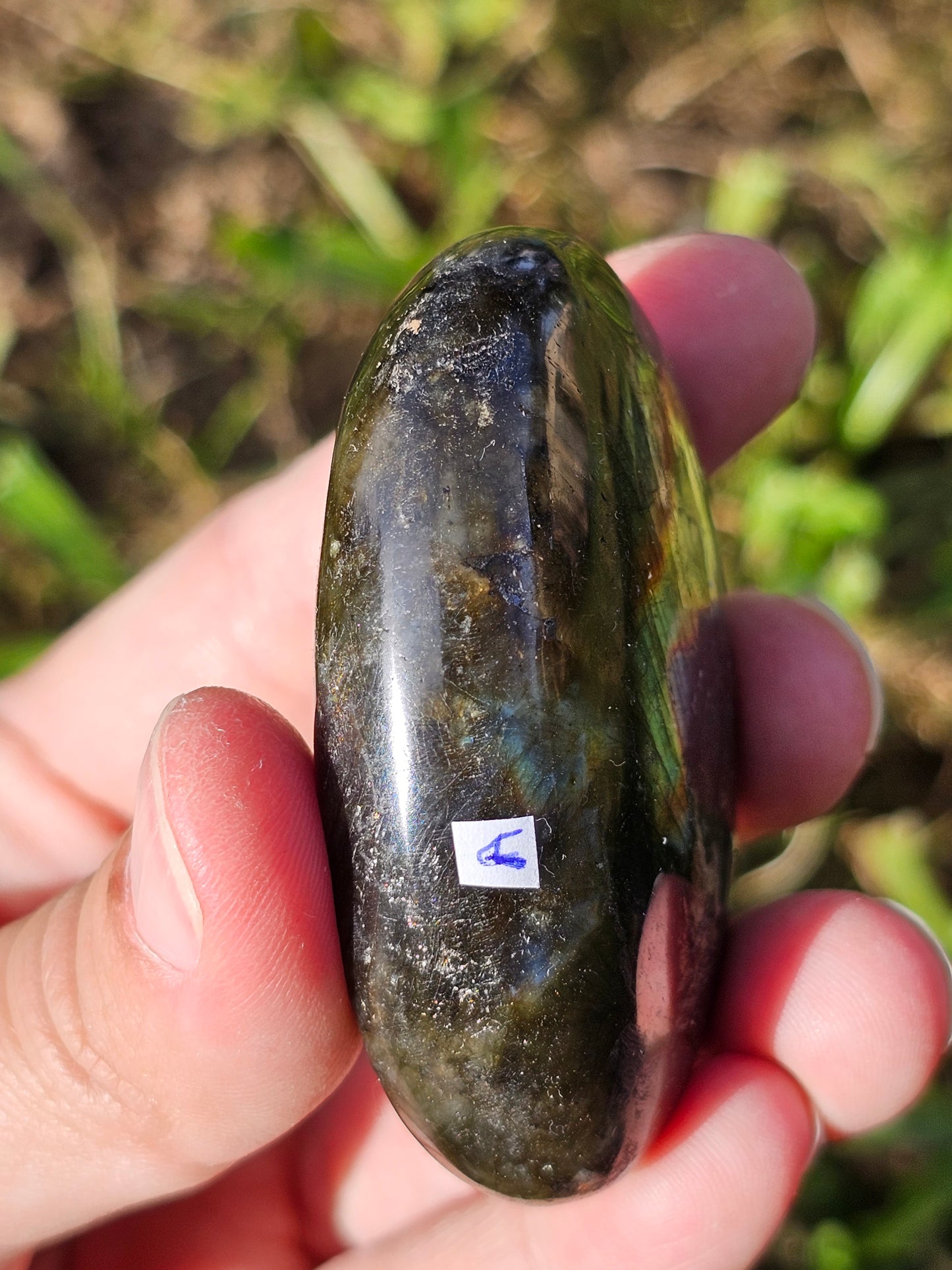 Galet Labradorite noire ( à choisir)