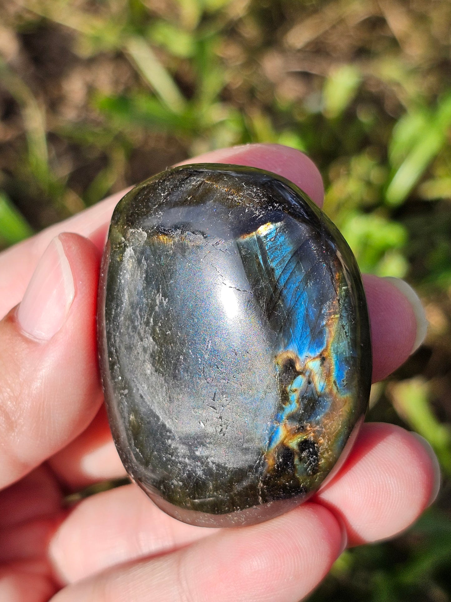Galet Labradorite noire ( à choisir)