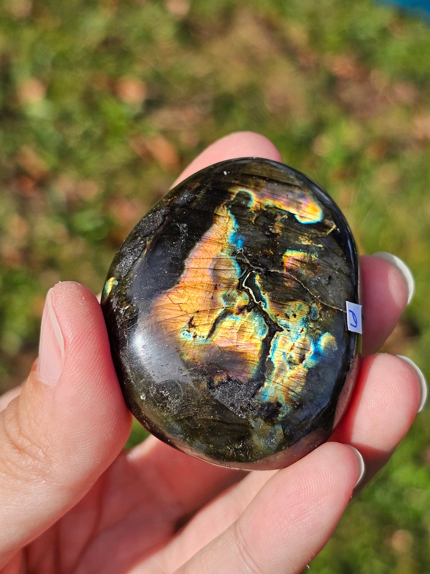 Galet Labradorite noire ( à choisir)