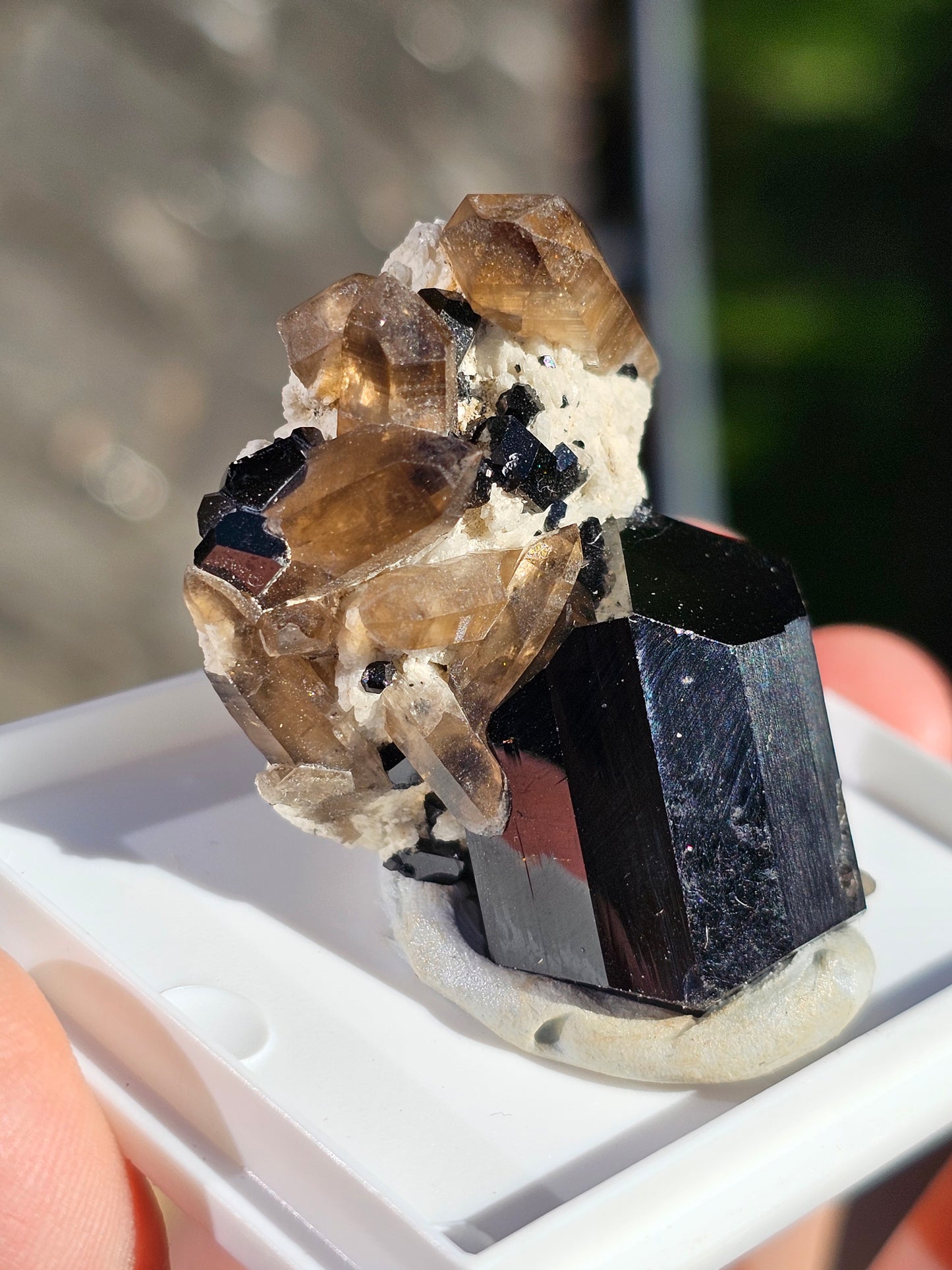 Tourmaline noire sur quartz fumé