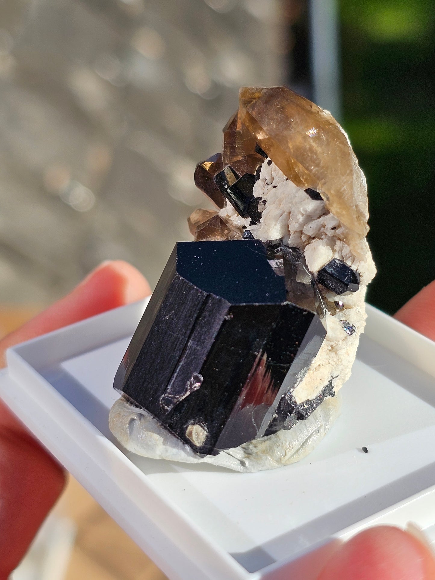 Tourmaline noire sur quartz fumé