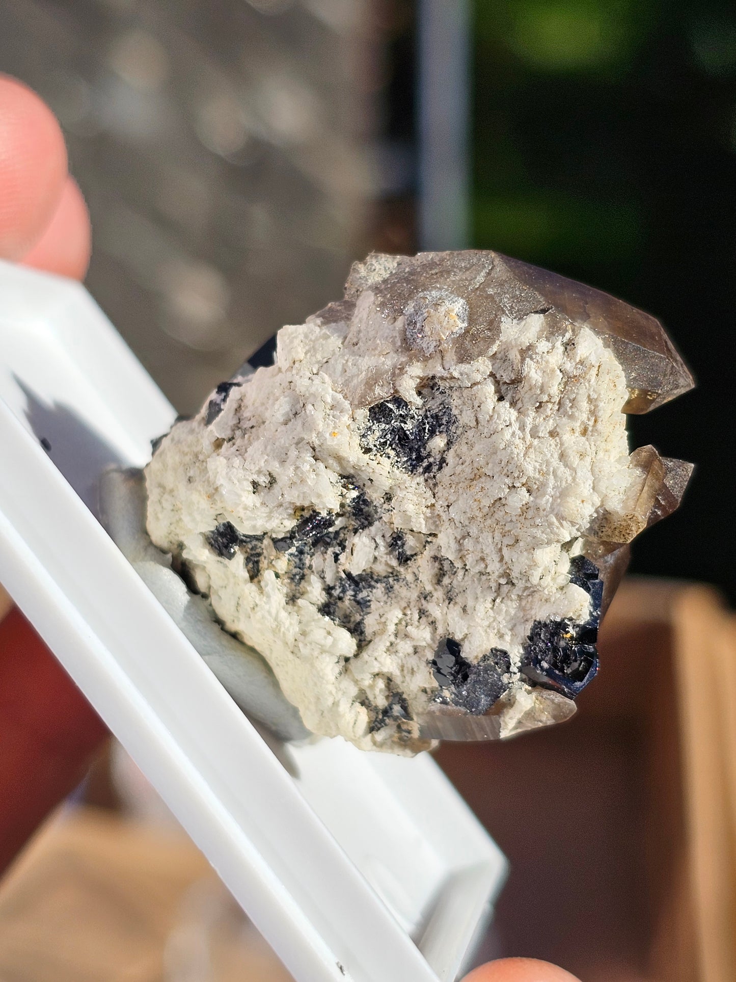Tourmaline noire sur quartz fumé