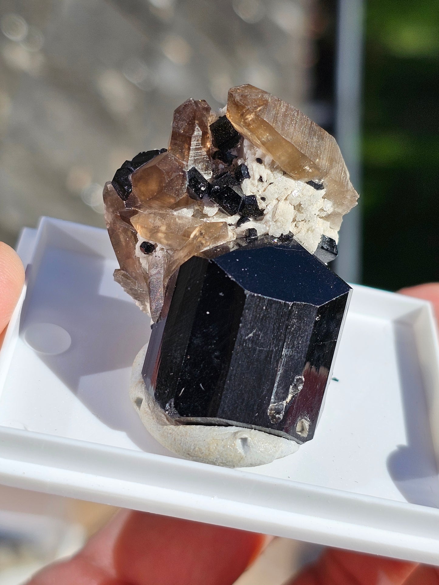 Tourmaline noire sur quartz fumé