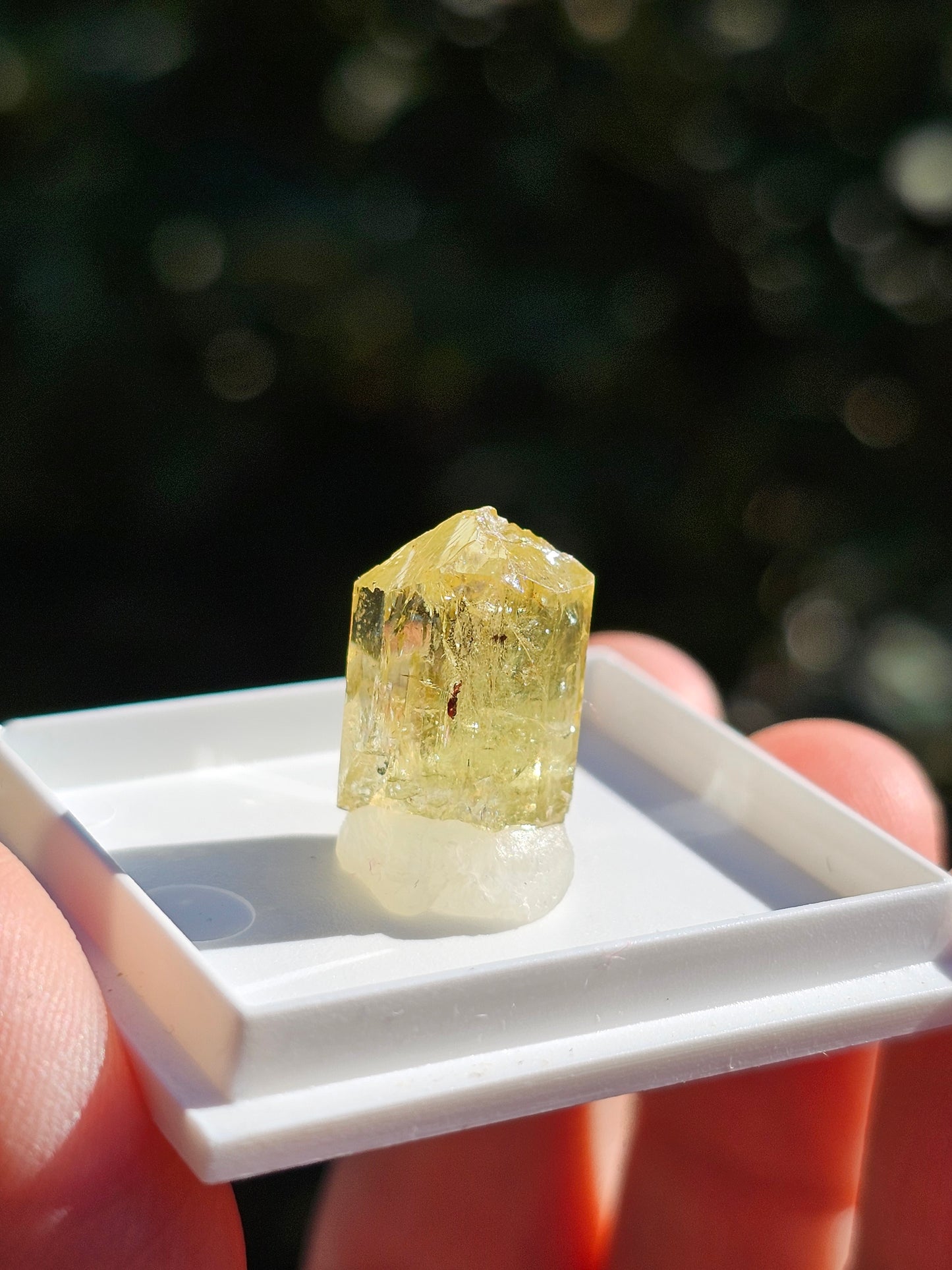 Apatite jaune du Mexique A4