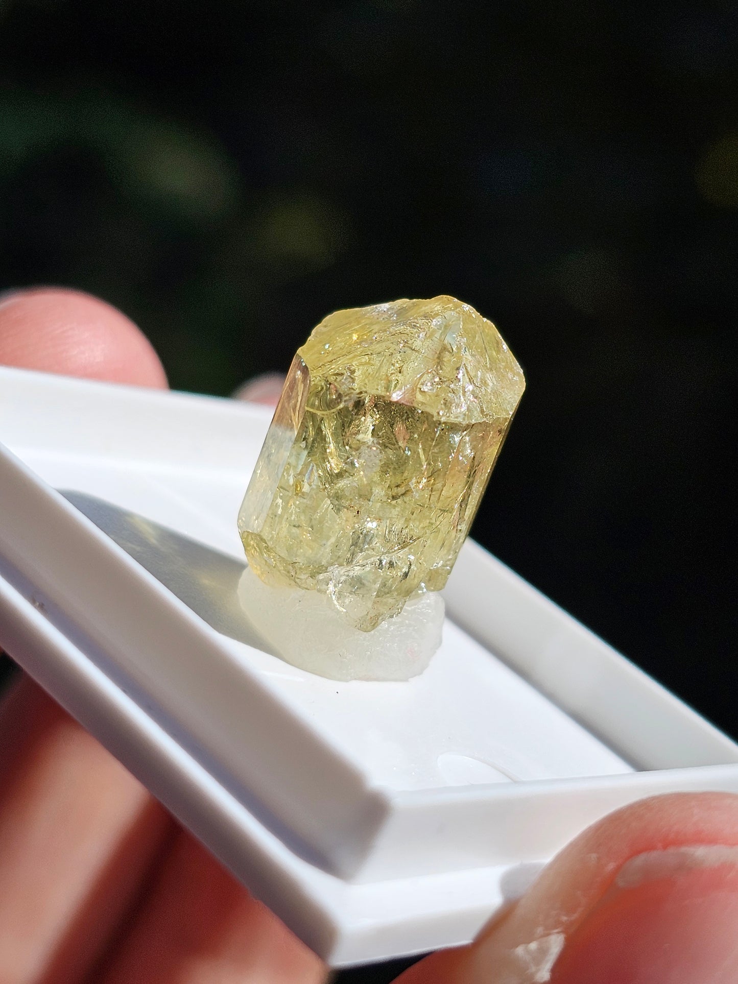 Apatite jaune du Mexique A4