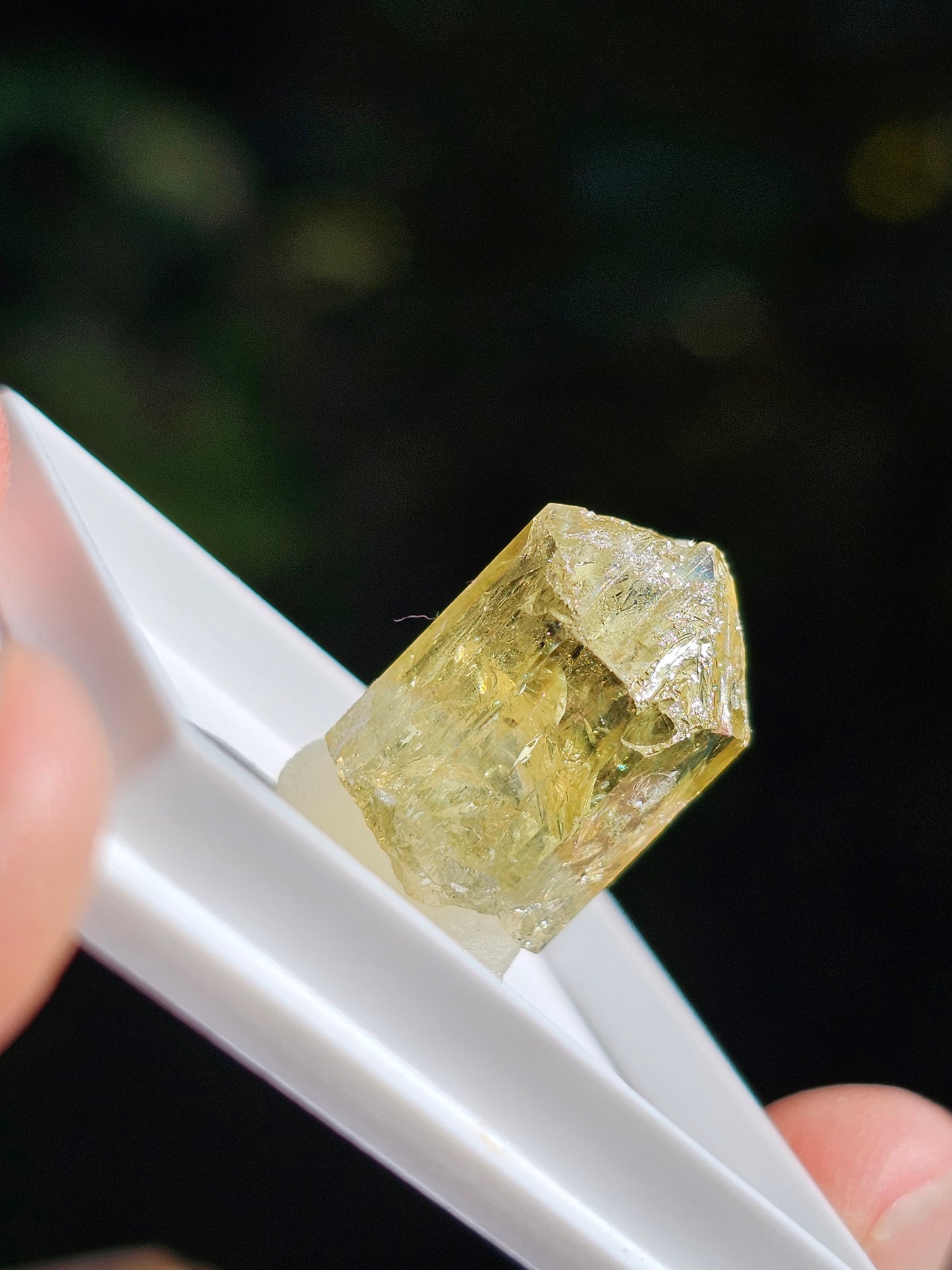 Apatite jaune du Mexique A4