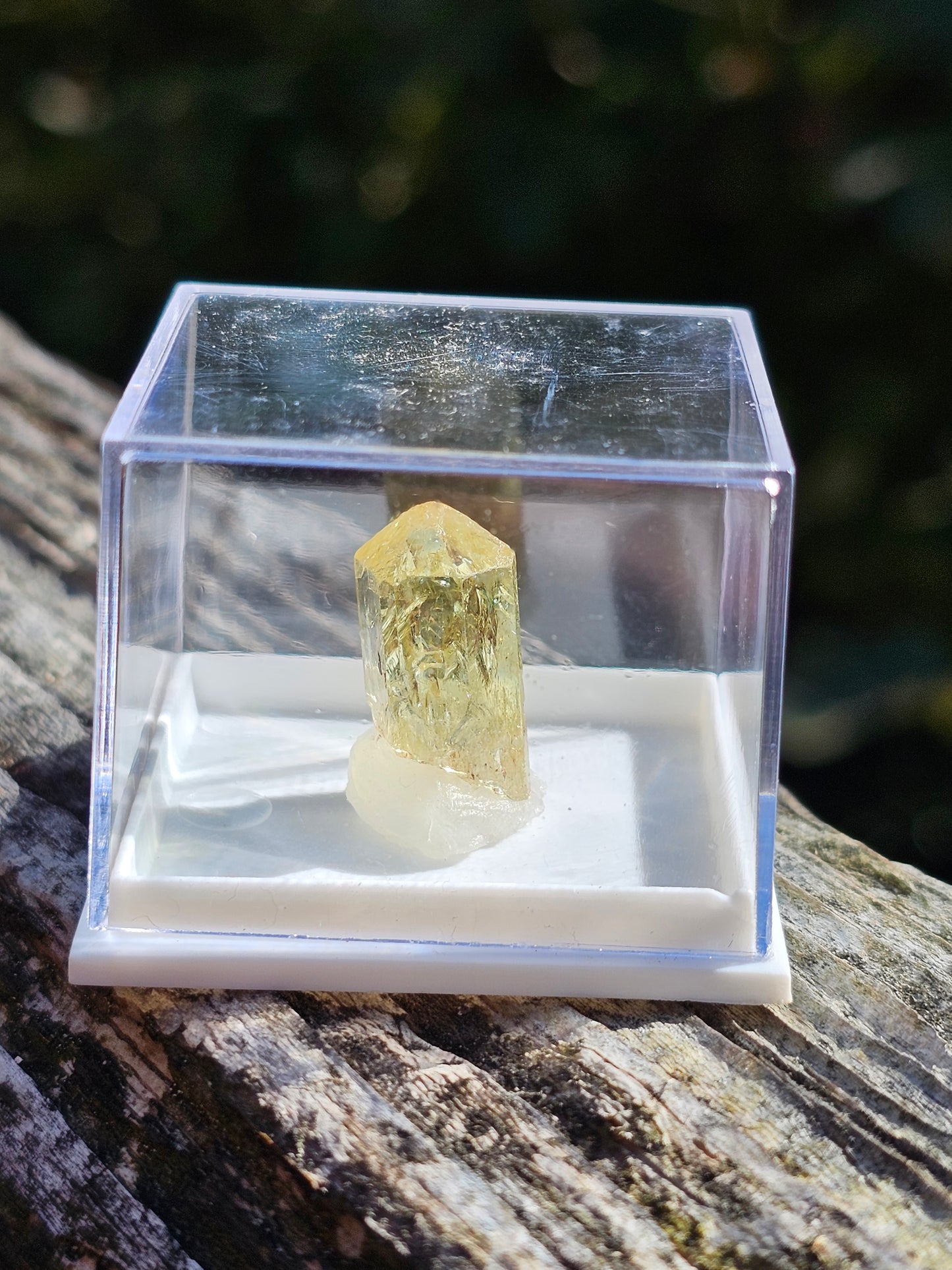 Apatite jaune du Mexique A2