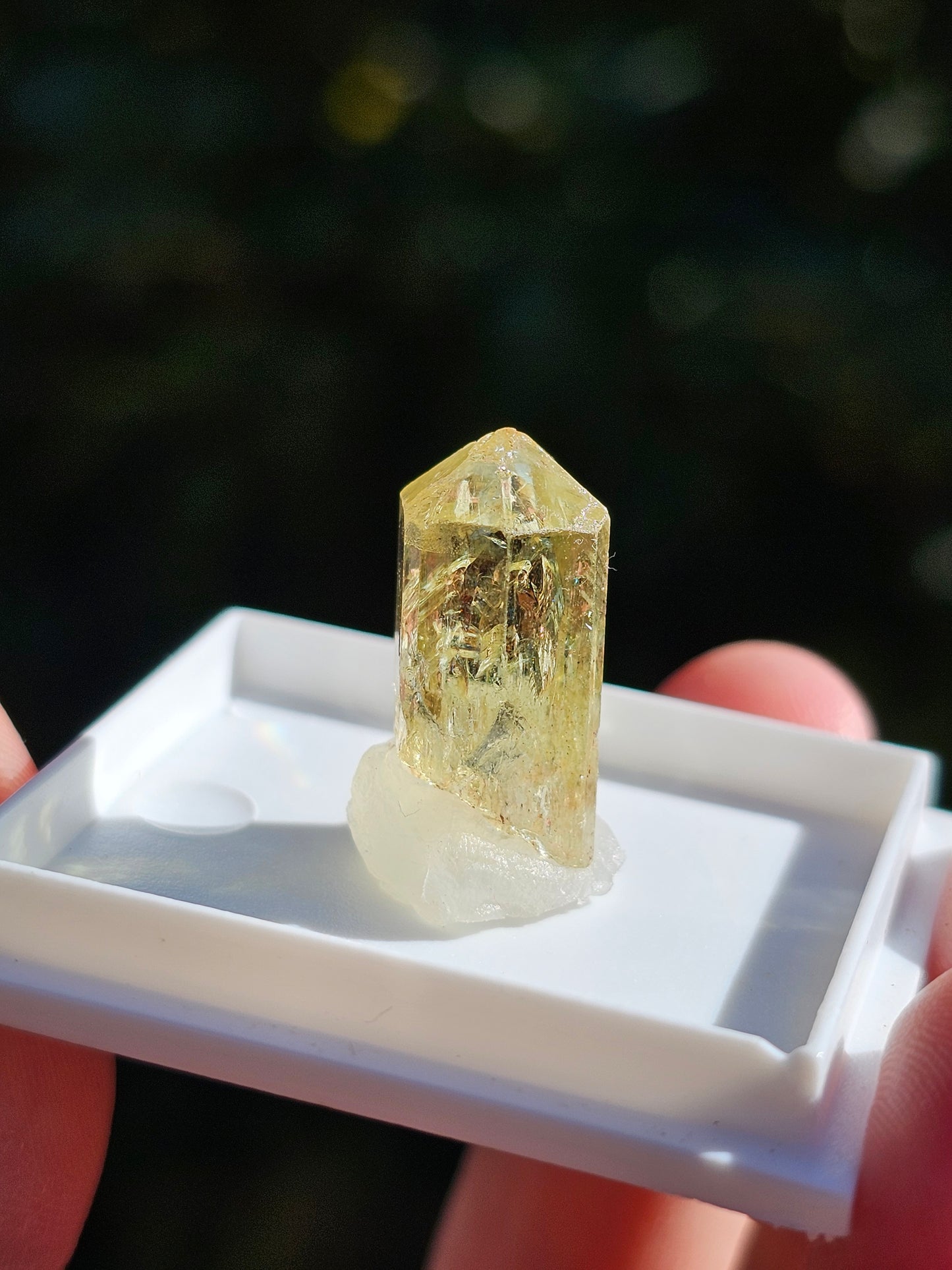 Apatite jaune du Mexique A2