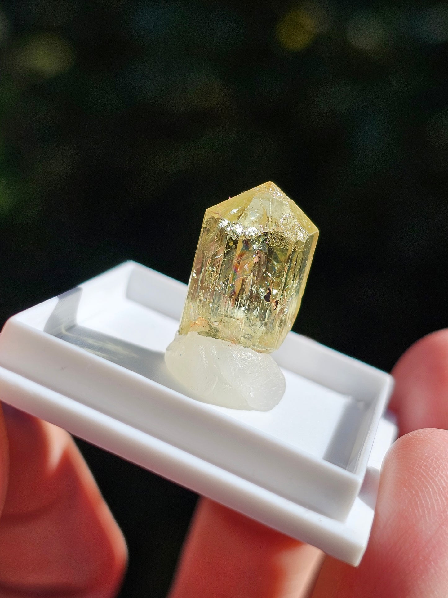Apatite jaune du Mexique A2
