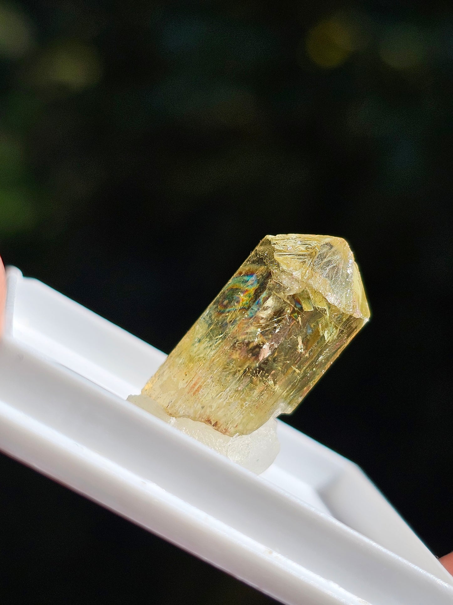 Apatite jaune du Mexique A2