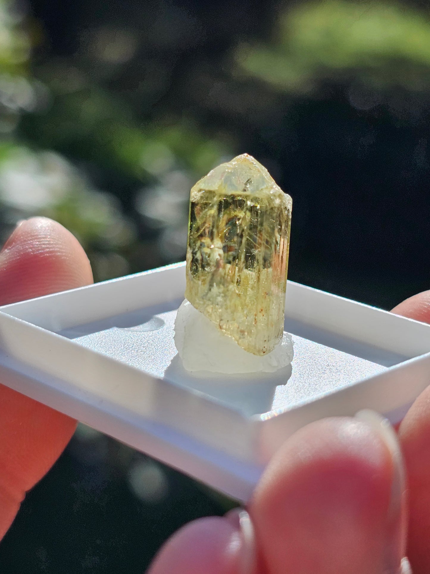 Apatite jaune du Mexique A2