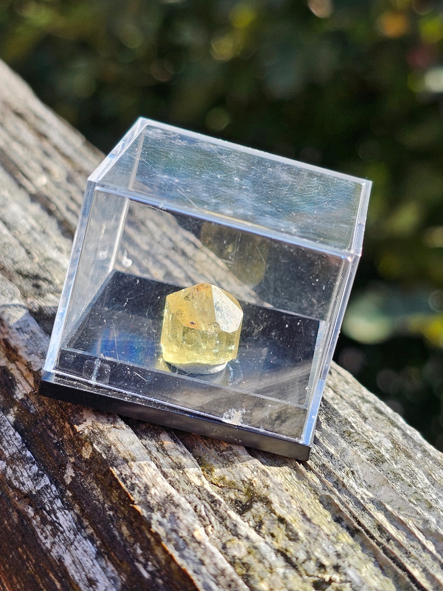 Apatite jaune du Mexique A3