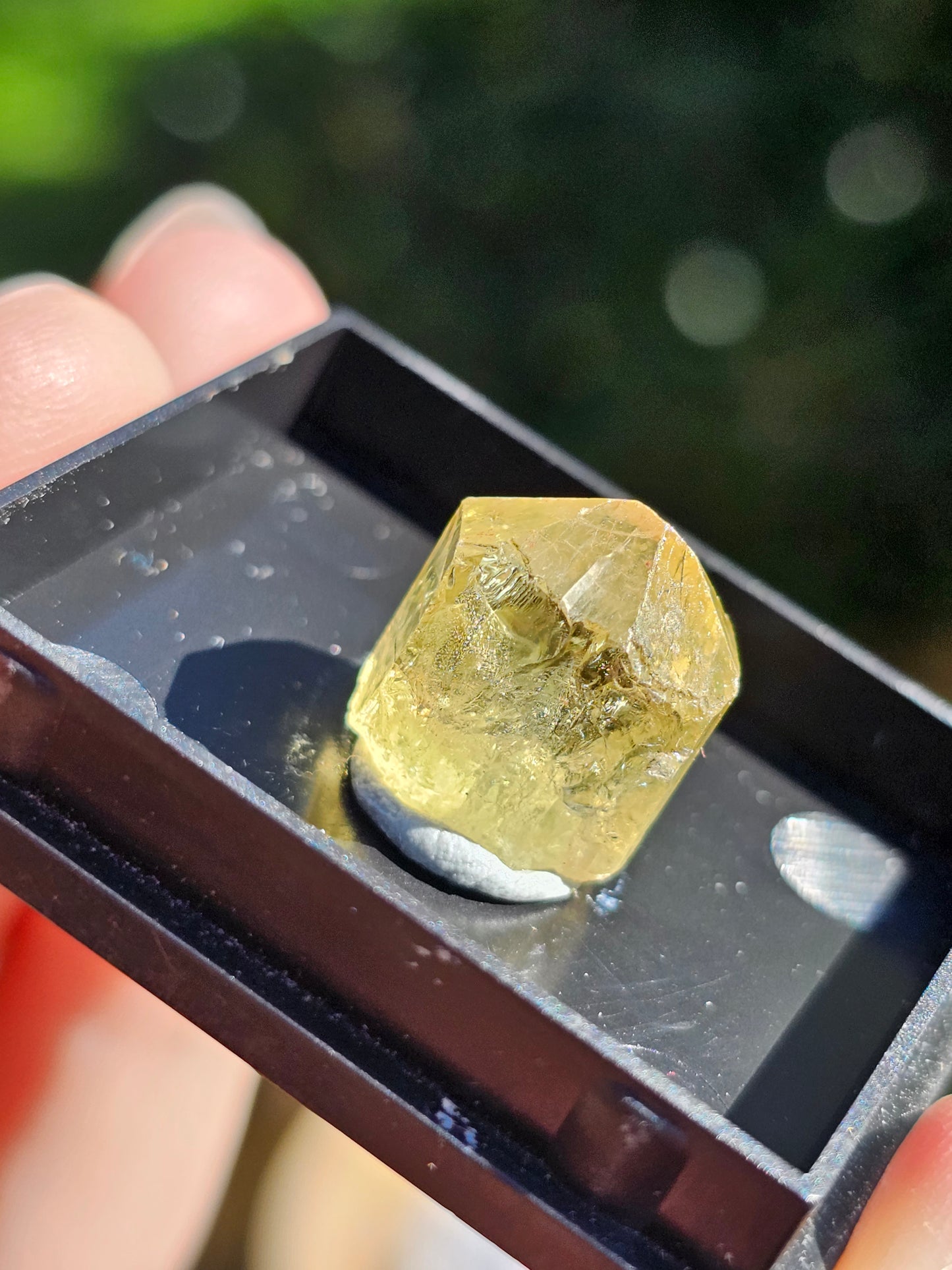 Apatite jaune du Mexique A3