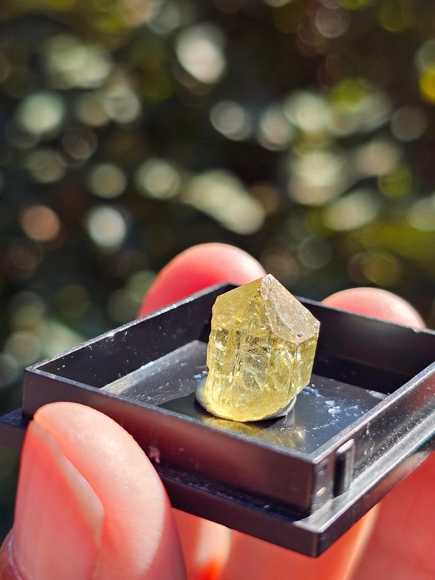 Apatite jaune du Mexique A3