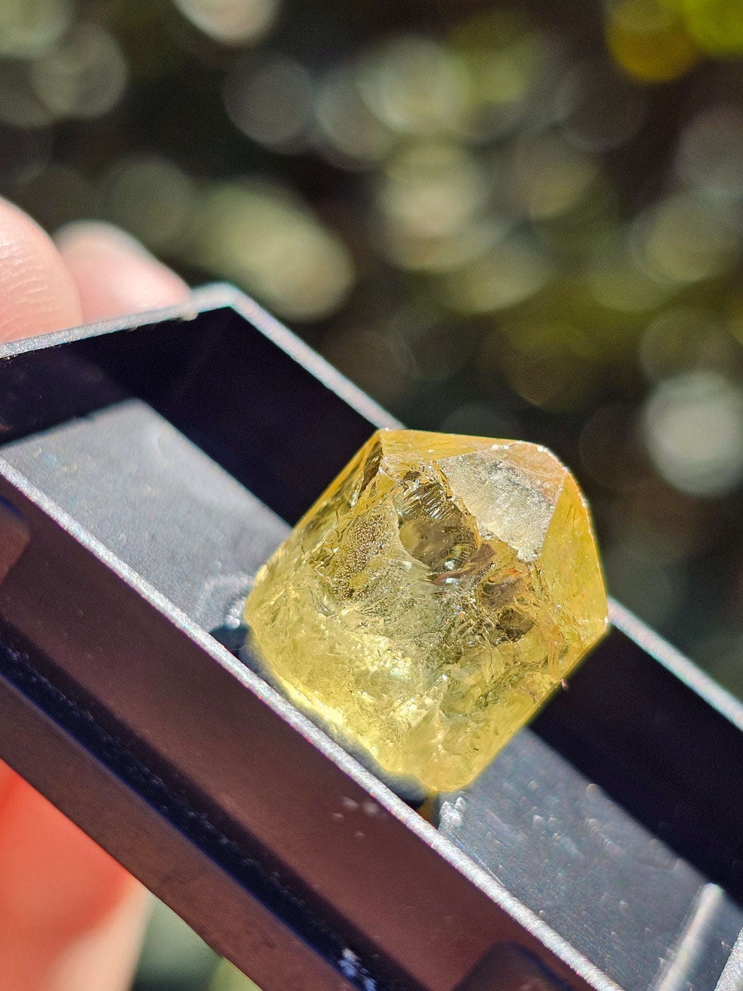 Apatite jaune du Mexique A3